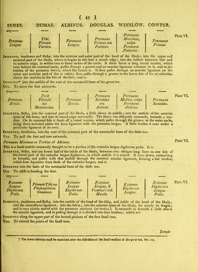 S03 Pcroneus Longus. ( 47 ) Peronceus Primus. Peronceus Tebi Peronceus Longus. Peronaus Maximus, Peronco Primus seu vulgo Tarsien. Posticus. Peronceus Posterior. Inserted, tendinous and flefliy, into the anterior and outer part of the head of the fibula; into the upper and external part of the fibula, where it begins to rife into a round edge ; into the hollow between that and its anterior edge, to within two or three inches of the ancle. It there forms a long round tendon, which runs behind the external ancle, pafles through a groove and an annular ligament common to it, and to the tendon of the peroneus brevis, which lies before it. It then pafles through an annular ligafnent on the outer and anterior part of the os calcis; then pafles through a groove in the lower fide of the os cuboides, above the mufcles in the foie of the foot; and is Inserted* into the outfide of the root of the metatarfal bone of the great toe. Use. To move the foot outwards. 204 Pet 'oneus Brevis. Petit Peronceus Peronceus Peronco Peronceus Secundus Medius, vulgo sus Brevis. seu Peronceus Metatarsien. Anticus. Anticus. Peronceus Secundus. Inserted, flefliy, into the external part of the fibula, a little above its middle; into the outfide of the anterior fpine of this bone, and into its round edge externally. The fibres run obliquely outwards, towards a ten- don. On its external fide it fends off a round tendon, which pafles through the groove at the outer ancle, being there included under the fame ligament with the peroneus longus. A little further it runs under a particular ligament of its own. Inserted, tendinous, into the root of the external part of the metatarfal bone of the little toe. Use. To pull the foot and toes outwards. Peronceus Minimus or Tertius of Albinus. This is a fmall mufcle commonly thought to be a portion of the extenfor longus digitorum pedis. It is Inserted, flefliy, into the lower half of the infide of the fibula, between two oblique long lines on one fide of the iower part of the extenfor longus digitorum, to which mufcle it is united. It runs down, contrading in breadth, and pafles with that mufcle through the common annular ligament, forming a flat tendon, which foon feparates from thofe of the extenfor longus, and is / Inserted into the bafis of the metatarfal bone of the little toe. Use. To aflift in bending the foot. Longus Digitorum Pedis. Peronco T ibisus Phalangettien Commun. Longus Digitorum Pedis. Longus, SC Vesalius's 9th Muscle. Extensor Digitorum Longus. Digitorum Longus Pedis. Inserted, tendinous and flefliy, into the outfide of the head of the tibia, and infide of the head of the fibula; into the interofleous ligament; into the fafeia ; into the anterior fpine of the fibula, for nearly its length; and is very clolely united with the peroneus minimus (or tertius.) It contracts in breadth a little above the annular ligament, and in pafling through it is divided into four tendons; which are Inserted along the upper part of the lecond phalanx of the four fmall toes. Use. To extend the joints of the fmall toes. Extenfor * The lower infertion mull be examined after the diffe&ion of the fmall mufcles of the great toe, No. :rj. Plate VI. Plate VI. Plate VI.