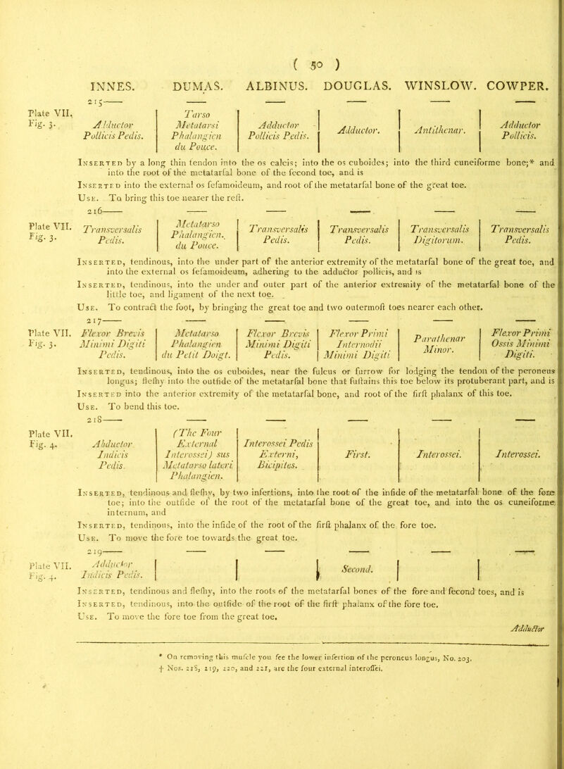 ( 5° ) INNES. DUMAS. ALBINUS. DOUGLAS. WINSLOW. COWPER 215 Plate VII. Fig- 3-, Adductor Pollicis Pedis. Tar so Metatarsi Phalangicn du Ponce. Adductor Pollicis Pedis. Adductor. Antithenar. Adductor Pollicis. Plate VII. Fig. 3. Inserted by a long thin tendon into the os calcis; into the os cuboides; into the third cuneiforme bone;* and into the root of the metatarfal bone of the fecond toe, and is Inserted into the externa! os fefamoideum, and root of the metatarfal bone of the great toe. Use. Tq bring this toe nearer the red. 216 Transversails Pedis. Metatarsi) Phalangicn, du Pouee. Transvcrsalis Pedis. Transversal is Pedis. Transvcrsalis Digitorum. Transversalis Pedis. Inserted, tendinous, into the under part of the anterior extremity of the metatarfal bone of the great toe, and into the external os fefamoideum, adhering to the addudtor pollicis, and is Inserted, tendinous, into the under and outer part of the anterior extremity of the metatarfal bone of the little toe, and ligament of the next toe. Use. To contract the foot, by bringing the great toe and two outermofi toes nearer each other. 217 Plate VII. Flexor Brevis Fig. 3. Minimi Digiti Pedis. Metatar so Phalangicn du Petit Doigt. Flexor Brevis Minimi Digiti Pedis. Flexor Primi Internodii Minimi Dig it i Parathenar Minor. Flexor Primi Ossis Minimi Digiti. Inserted, tendinous, into the os cuboides, near the fulcus or furrow for lodging the tendon of the peroneus longus; liethy into the outlide of the metatarfal bone that fultains this toe below its protuberant part, and is Inserted into the anterior extremity of the metatarfal bone, and root of the firft phalanx of this toe. Use. To bend this toe. Plate VII. Fig- 4* Abductor (The Four External Intcrossei Pedis - Indicis Intcrossei) sus Externi, First. Intcrossei. Pedis. MctatarsQ lateri Phalangicn. Bicipites. Interossei. Inserted, tendinous and fie (by, by two infertions, into the root of the infide of the metatarfal bone of the fone toe; into the outfide of the root of the metatarfal bone of the great toe, and into the os cuneiforme internum, and Inserted, tendinous, into the infide of the root of the firft phalanx of the fore toe. Use. To move the fore toe towards the great toe. Second. Inserted, tendinous and flefhy, into the roots of the metatarfal bones of the fore and fecond toes, and is Inserted, tendinous, into the outfide of the root of the firft phalanx of the fore toe. Use. To move the fore toe from the great toe. Adcluflor Plate VII. Adductor _ Fig. 4. Indie is Pedis. * On removing this mufcle you fee the lower infertion of the peroneus longus, No. 203. + Nos. 21S, 219, 220, and 221, are the four external interoflii.