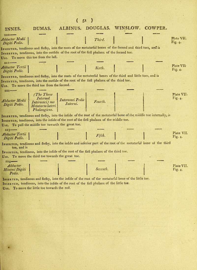 220 Adductor Medii Di 'giti Pedis. Third. i. Inserted, tendinous and flefhy, into the roots of the metatarfal bones of the fecond and third toes, and is Inserted, tendinous, into the outfide of the root of the firft phalanx of the fecond toe. Use. To move this toe from the laft. 221 Adductor Tcrtii | | I sixth. Digiti Pedis. \ I I Inserted, tendinous and flefhy, into the roots of the metaterfal bones of the third and little toes, and is Inserted, tendinous, into the outfide of the root of the firft phalanx of the third toe. Use. To move the third toe from the fecond. 222 — “ 1 (The Three 1 1 Abductor Medii Digiti Pedis. Internal Interosseij sus Metatarso lateri Interossei Pedis Interni. Fourth. Phalangiens. Inserted, tendinous and flefhy, into the infide of the root of the metatarfal bone of the middle toe internally, is Inserted, tendinous, into the inflde of the root of the firft phalanx of the middle toe. Use. To pull the middle toe towards the great toe. | Fifth. | | Inserted, tendinous and flefhy, into the infide and inferior part of the root of the metatarfal bone of the third toe, and is Inserted, tendinous, into the infide of the root of the firft phalanx of the third toe. Use. To move the third toe towards the great toe. Abductor Tertii 1 Digiti Pedis. | 224—— Adductor Minimi Digiti Pedis. Seventh. Inserted, tendinous and flefhy, into the infide of the root of the metatarfal bone of the little toe. Inserted, tendinous, into the infide of the root of the firft phalanx of the little toe. Use. To move the little toe towards the reft. ■» Plate VII. Fig. 4. Plate VII. Fig. 4. Plate VII. Fig. 4. Plate VII. Fig. 4. Plate VII. Fig. 4.