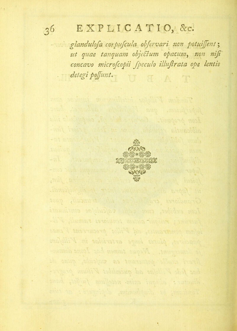 gJandulofa corpufcula ohfervari 7wn potuijfent; tit quae tanquam objeSlwn opacum^ non nifi concavo fnicrofcopii fpeculo illujlrata ope lentu detegi pojjunt. *ts*