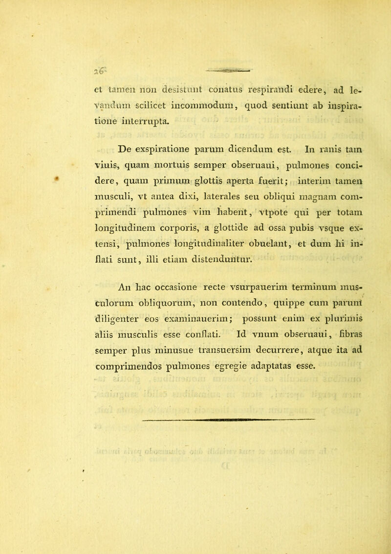 et tamen non desistunt conatus respirandi edere, ad le- vandum scilicet incommodum, quod sentiunt ab inspira- tione interrupta. De exspiratione parum dicendum est. In ranis tam viuis, quam mortuis semper obseruaui, pulmones conci- dere, quam primum glottis aperta fuerit; interim tamen musculi, vt antea dixi, laterales seu obliqui magnam com- primendi pulmones vim habent, vtpote qui per totam longitudinem corporis, a glottide ad ossa pubis vsque ex- tensi, pulmones longitudinaliter obuelant, et dum lii in- flati sunt, illi etiam distenduntur. An hac occasione recte vsurpauerim terminum mus- culorum obliquorum, non contendo, quippe cum parunt diligenter eos examinauerim; possunt enim ex plurimis aliis musculis esse conflati. Id vnum obseruaui, fibras semper plus minusue transuersim decurrere, atque ita ad comprimendos pulmones egregie adaptatas esse.