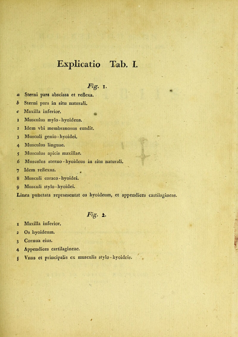Explicatio Tab. I, Fig. i. <z Sterni pars abscissa et reflexa. b Sterni pars in situ naturali. c Maxilla inferior. *• 1 Musculus mylo - hyoideus. 2 Idem vbi membranosus euadit. 3 Musculi genio - hyoidei. ~ 4 Musculus linguae. 5 Musculus apicis maxillae. 6 Musculus sterno-hyoideus in situ naturali. 7 Idem reflexus. 8 Musculi coraco - hyoidei. 9 Musculi stylo-hyoidei. Linea punctata repraesentat os hyoideum, et appendices cartilagineas. Fig. i. 1 Maxilla inferior. 2 Os hyoideum. 3 Cornua eius. 4 Appendices cartilagineae. j Vnus et principalis cx musculis stylo-hyoideis.