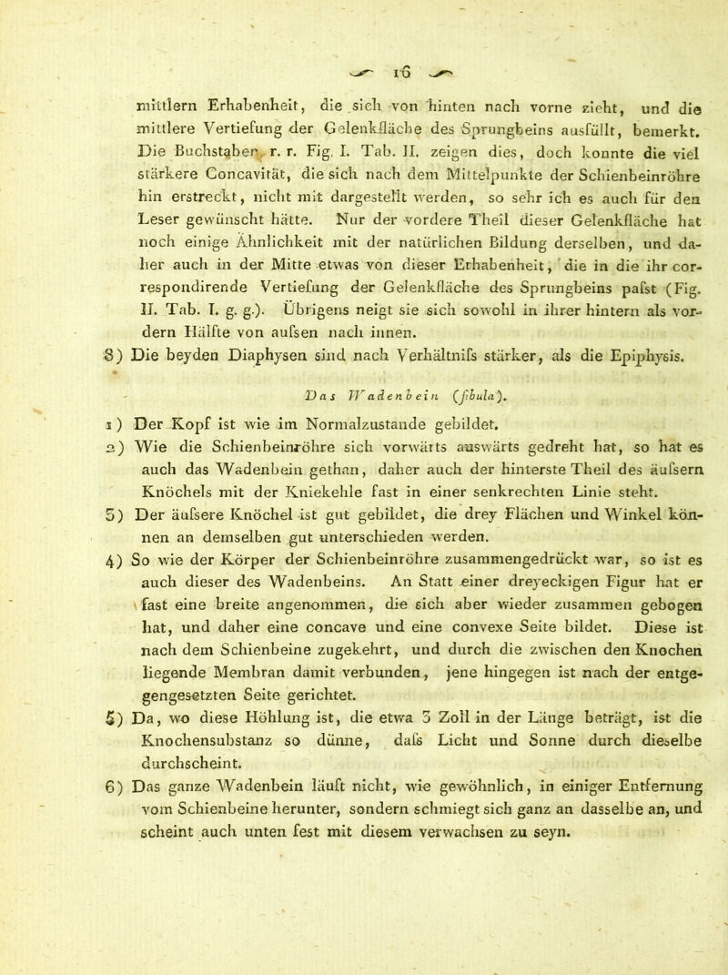 mittlern Erhabenheit, die sieh von hinten nach vorne zieht, und die mittlere Vertiefung der Gelenkfläche des Sprungbeins ausfüllt, bemerkt. Die Buchstaber r. r. Fig. I. Tab. II. zeigen dies, doch konnte die viel stärkere Concavität, die sich nach dem Mittelpunkte der Schienbeinröhre hin erstreckt, nicht mit dargestellt werden, so sehr ich es auch für den Leser gewünscht hätte. Nur der vordere Theil dieser Gelenkfläche hat noch einige Ähnlichkeit mit der natürlichen Bildung derselben, und da- her auch in der Mitte etwas von dieser Erhabenheit, die in die ihr cor- respondirende Vertiefung der Gelenkfläche des Sprungbeins pafst (Fig. II. Tab. I. g. g.)- Übrigens neigt sie sich sowohl in ihrer hintern als vor- dem Hälfte von aufsen nach innen. 8) Die beyden Diaphysen sind nach Verhältnis stärker, als die Epiphysis, Das Wadenbein (J'ibula). i) Der Kopf ist wrie im Normalzustände gebildet, 2.) Wie die Schienbeinröhre sich vorwärts auswärts gedreht bat, so hat es auch das Wadenbein gethan, daher auch der hinterste Theil des äufsern Knöchels mit der Kniekehle fast in einer senkrechten Linie steht. 5) Der äufsere Knöchel ist gut gebildet, die drey Flächen und Winkel kön- nen an demselben gut unterschieden wperden. 4) So wie der Körper der Schienbeinröhre zusammengedrückt war, so ist es auch dieser des Wadenbeins. An Statt -einer dreyeckigen Figur hat er fast eine breite angenommen, die eich aber wieder zusammen gebogen hat, und daher eine concave und eine convexe Seite bildet. Diese ist nach dem Schienbeine zugekehrt, und durch die zwischen den Knochen liegende Membran damit verbunden, jene hingegen ist nach der entge- gengesetzten Seite gerichtet. 5) Da, wo diese Höhlung ist, die etwa 3 Zoll in der Länge beträgt, ist die Knochensubstanz so dünne, dafs Licht und Sonne durch dieselbe durchscheint. 6) Das ganze Wadenbein läuft nicht, wie gewöhnlich, in einiger Entfernung vom Schienbeine herunter, sondern schmiegt sich ganz an dasselbe an, und scheint auch unten fest mit diesem verwachsen zu seyn.