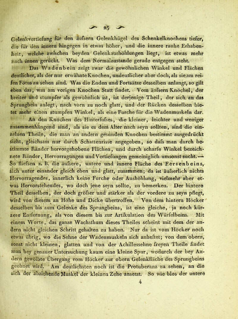 Gelenkvertiefung für den äufsern Gelenkhügel des Schenkelknochens tiefer, die für den innern hingegen in etwas höher, und die innere rauhe Erhaben- heit, welche zwischen beyden Gelenkaushöhlungen liegt, ist etwas mehr nach innen gerückt. Was dem Normalzustände gerade entgegen steht. Das Wadenbein zeigt zwar die gewöhnlichen Winkel und Flächen deutlicher, als der nur erwähnte Knochen, undeutlicher aber doch, als sie.am rei- fen Fötus zu sehen sind. Was die Enden und Fortsätze desselben anlangt, so gilt eben das , was am vorigen Knochen Statt findet. Vom äufsern Knöchel, der breiter Und stumpfer als gewöhnlich ist, ist derjenige Theil, der sich an das Sprungbein anlegt, nach vorn zu noch glatt, und der Rücken desselben bie- tet mehr einen stumpfen Winkel, als eine Furche für die Wadenmuskeln dar. An den Knochen des Hinterfufses, die kleiner, leichter und weniger zusammenhängend sind, als sie es dem Alter nach seyn sollten, sind die ein- zelnen Theile, die man an andern gesunden Knochen bestimmt ausgedrückt sieht, gleichsam nur durch Schattenrisse angegeben, so dafs man durch be- stimmte Piänder hervorgehobene Flächen, und durch scharfe Winkel bezeichn nete Piänder, Hervorragungen und Vertiefungen gemeiniglich umsonst sucht. *— So fliefsen z. B. die äufsere, untere und innere Fläche des Fersenbeins^ sich unter einander gleich eben und glatt, zusammen; da ist äufserlich nichts Hervorragendes, innerlich keine Furche oder Aushöhlung, vielmehr aber et- was Hervorstehendes, wo doch jene seyn sollte, zu bemerken. Der hintere Theil desselben, der doch grofser und stärker als der vordere zu seyn pflegt, wird von diesem an Höhe und Dicke übertroffen. Von dem hintern Höcker \ desselben bis zum Gelenke des Sprungbeins, ist eine gleiche, ja noch kür- zere Entfernung, als 'von diesem bis zur Artikulation des Würfelbeins. Mit einem Worte, das ganze Wachsthum dieses Theiles scheint mit dem der an- dern nicht gleichen Schritt gehalten zu haben. Nur da ist vom Höcker noch etwas übrig, wo die Sehne der Wadenmuskeln sich anheftet; von dem obern, sonst nicht kleinen, glatten und von der Achillessehne freyen Theile findet man bey genauer Untersuchung kaum eine kleine Spur, wodurch der bey An- dern gewölbte Übergang vom Höcker zur obern Gelenkfläche des Sprungbeins geebnet wird. Am deutlichsten noch ist die Protuberanz zu sehen, an die sich der abzieheitde Muskel der kleinen Zehe ansetzt. So wie blos der untere 4