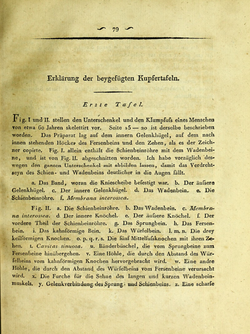 Erklärung der beygefügten Kupfertafeln» Erste Tafel. Fig. I und II. stellen den Unterschenkel und den KTumpfufs eines Menschen von etwa 60 Jahren skelettirt vor. Seite i5 — 20 ist derselbe beschrieben worden. Das Präparat lag auf dem Innern Gelenkhügel, auf dem nach innen stehenden Höckei* des Fersenbeins und den Zehen, als es der Zeich- ner copirte. Fig. I. allein enthält die Schienbeinröhre mit dem Wadenbei- ne, und ist von Fig. II. abgeschnitten worden. Ich habe vorzüglich 'des- wegen den ganzen Unterschenkel mit abbilden lassen, damit das Verdreht- seyn des Schien- und Wadenbeins deutlicher in die Augen fällt. a. Das Band, woran die Kniescheibe befestigt war. b. Der äufsera Gelenkhügel, c. Der innere Gelenkhügel, d. Das Wadenbein, e. Die Schienbeinröhre, f. .Membrana interossea. Fig. II. a. Die Schienbeinröhre, b. Das Wadenbein, c. Membra- na interossea. d. Der innere Knöchel, e. Der äufsere Knöchel, f. Der vordere Theil der Schienbeinröhre. g. Das Sprungbein, h. Das Fersen- bein. i. Das kahnförmige Bein. k., Das Würfelbein. 1. m, n. Die drey keilförmigen Knochen, o. p. q. r.-s. Die fünf Mittelfufsknochen mit ihren Ze- hen. fc. Canilas sinuosa, u. Bänderbüschel, die vom Sprungbeine zum Fersenbeine hinübergehen, v. Eine Höhle, die durch den Abstand des Wür- felbeins vom kahnförmigen Knochen hervorgebracht wird. w. Eine andre Höhle, d ie durch den Abstand des Würfelbeins vom Fersenbeine verursacht wird. x. Die Furche für die Sehne des langen und kurzen Wadenbein- muskels, y, Gelenkverbindung des Sprung-und Schienbeins, z. Eine scharfe