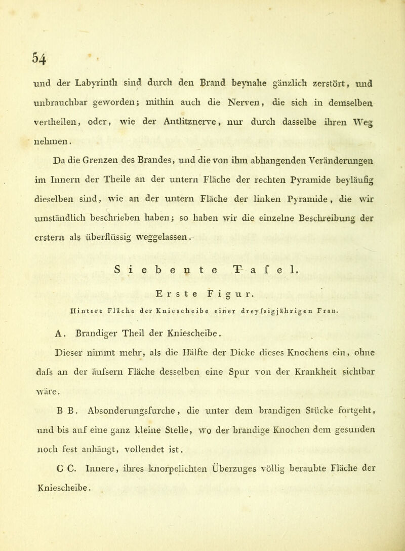 und der Labyrinth sind durch den Brand beynahe gänzlich zerstört, imd unbrauchbar geworden; mitliin auch die Nerven, die sich in demselben vertheilen, oder, wie der Antlitzneiwe, nur durch dasselbe iluen Wea nelnnen. Da die Grenzen des Brandes, und die von ihm abhangenden Veränderungen im Innern der Theile an der untern Fläche der rechten Pyramide beyläufig dieselben sind, wie an der untern Fläche der linken Pyramide , die wir lunständlich beschrieben haben; so haben wir die einzelne Besclueibruig der erstem als überflüssig weggelassen. Siebente Tafel. Erste Figur. Hintere Fläche der Kniescheibe einer d rey fs ig j äh r ig e n Frau. A. Brandiger Theil der Kniescheibe. Dieser nimmt mein*, als die Hälfte der Dicke dieses Knochens ein, ohne dafs an der äufsern Fläche desselben eine Spur von der Krankheit sichtbar wäre. B B. Absonderungsfurche, die unter dem brandigen Stücke fortgeht, und bis auf eine ganz kleine Stelle, wo der brandige Knochen dem gesunden noch fest anhängt, vollendet ist. C C. Innere, ilu'es knorpelichten Überzuges völlig beraubte Fläche der Kniescheibe.