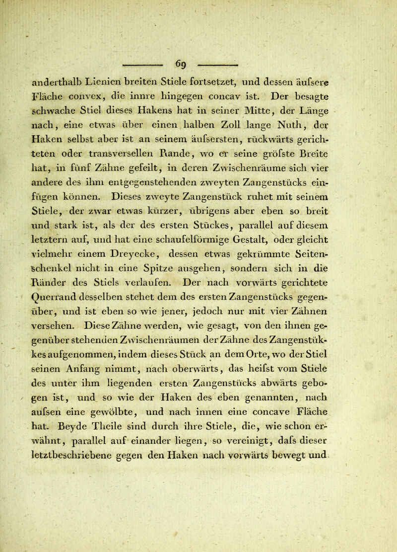 6g anderthalb Lienien breiten Stiele fortsetzet, und. dessen äufscre Flache convex, die innre hingegen concav ist. Der besagte schwache Stiel dieses Hakens hat in seiner Mitte, der Länge nach, eine etwas über einen halben Zoll lange Nuth, der Haken selbst aber ist an seinem äufsersten, rückwärts gerich- teten oder transverseilen Pxande, wo er seine gröfste Breite hat, in fünf Zähne gefeilt, in deren Zwischenräume sich vier andere des ihm entgegenstehenden zweyten Zangenstücks ein- fügen können. Dieses zweyte Zangenstück ruhet mit seinem Stiele, der zwar etwas kürzer, übrigens aber eben so breit und stark ist, als der des ersten Stückes, parallel auf diesem letztem auf, und hat eine schaufelförmige Gestalt, oder gleicht vielmehr einem Dreyecke, dessen etwas gekrümmte Seiten- schenkel nicht in eine Spitze ausgehen, sondern sich in die Pfänder des Stiels verlaufen. Der nach vorwärts gerichtete Ouerrand desselben stehet dem des ersten Zangenstücks gegen- über, und ist eben so wie jener, jedoch nur mit vier Zähnen versehen. Diese Zähne werden, wie gesagt, von den ihnen ge- genüber stehenden Zwischenräumen der Zähne des Zangenstük- kes aufgenommen, indem dieses Stück an dem Orte, wo der Stiel seinen Anfang nimmt, nach oberwärts, das heifst vom Stiele des unter ihm liegenden ersten Zangenstücks abwärts gebo- gen ist, und so wie der Haken des eben genannten, nach aufsen eine gewölbte, und nach innen eine concave Fläche hat. Beyde Tlieile sind durch ihre Stiele, die, wie schon er- wähnt, parallel auf einander liegen, so vereinigt, dafs dieser letztbeschriebene gegen den Haken nach vorwärts bewegt und