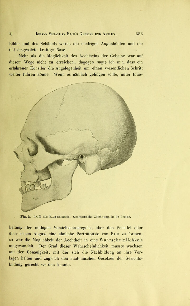 Bilder und des Schädels waren die niedrigen Augenhöhlen und die tief eingesetzte kräftige Nase. Mehr als die Möglichkeit des Aechtseins der Gebeine war auf diesem Wege nicht zu erreichen, dagegen sagte ich mir, dass ein erfahrener Künstler die Angelegenheit um einen wesentlichen Schritt weiter führen könne. Wenn es nämlich gelingen sollte, unter Inne- Fig. 2. Profil des BAca-Schädels. Geometrische Zeichnung, halbe Grösse. haltung der nöthigen Vorsichtsmassregeln, über den Schädel oder über seinen Abguss eine ähnliche Porträtbüsle von Bach zu formen, so war die Möglichkeit der Aechtheit in eine Wahrscheinlichkeit umgewandelt. Der Grad dieser Wahrscheinlichkeit musste wachsen mit der Genauigkeit, mit der sich die Nachbildung an ihre Vor- lagen halten und zugleich den anatomischen Gesetzen der Gesichts- bildung gerecht werden konnte.