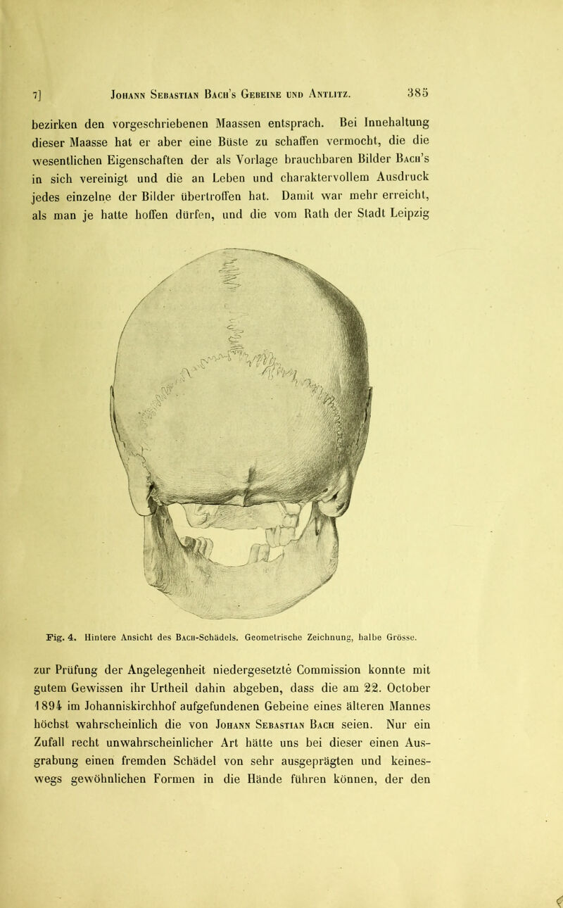 bezirkeo den vorgeschriebenen Maassen entsprach. Bei Innehaltung dieser Maasse hat er aber eine Büste zu schaffen vermocht, die die wesentlichen Eigenschaften der als Vorlage brauchbaren Bilder Bach’s in sich vereinigt und die an Leben und charaktervollem Ausdruck jedes einzelne der Bilder übertrotfen hat. Damit war mehr erreicht, als man je hatte hoffen dürfen, und die vom Rath der Stadt Leipzig Fig. 4. Hintere Ansicht des BAca-Schädels. Geometrische Zeichnung, halbe Grösse. zur Prüfung der Angelegenheit niedergesetzte Commission konnte mit gutem Gewissen ihr Urtheil dahin abgehen, dass die am 22. October 1894 im Johanniskirchhof aufgefundenen Gebeine eines älteren Mannes höchst wahrscheinlich die von Johann Sebastian Bach seien. Nur ein Zufall recht unwahrscheinlicher Art hätte uns bei dieser einen Aus- grabung einen fremden Schädel von sehr ausgeprägten und keines- wegs gewöhnlichen Formen in die Hände führen können, der den