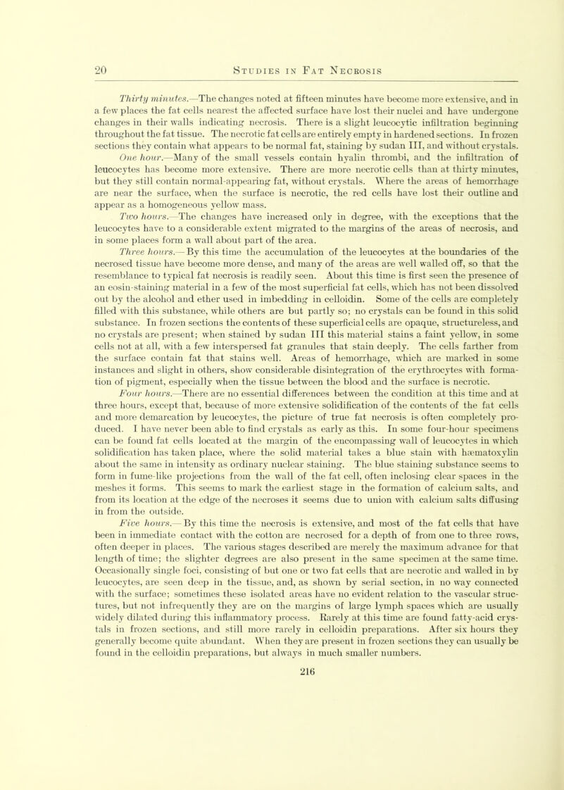 Thirty minutes.- -The changes noted at fifteen minutes have become more extensive, and in a few places the fat cells nearest the affected surface have lost their nuclei and have undergone changes in them walls indicating necrosis. There is a slight leucocytic infiltration beginning throughout the fat tissue. The necrotic fat cells are entirely empty in hardened sections. In frozen sections they contain what appears to be normal fat, staining by sudan III, and without crystals. One hour.—Many of the small vessels contain hyalin thrombi, and the infiltration of leucocytes has become more extensive. There are more necrotic cells than at thirty minutes, but they still contain normal-appearing fat, without crystals. Where the areas of hemorrhage are near the surface, when the surface is necrotic, the red cells have lost their outline and appear as a homogeneous yellow mass. Two hours.—The changes have increased only in degree, with the exceptions that the leucocytes have to a considerable extent migrated to the margins of the areas of necrosis, and in some places form a wall about part of the area. Three hours.— By this time the accumulation of the leucocytes at the boundaries of the necrosed tissue have become more dense, and many of the areas are well walled off, so that the resemblance to typical fat necrosis is readily seen. About this time is first seen the presence of an eosin-staining material in a few of the most superficial fat cells, which has not been dissolved out by the alcohol and ether used in imbedding in celloidin. Some of the cells are completely filled with this substance, while others are but partly so; no crystals can be found in this solid substance. In frozen sections the contents of these superficial cells are opaque, structureless, and no crystals are present; when stained by sudan III this material stains a faint yellow, in some cells not at all, with a few interspersed fat granules that stain deeply. The cells farther from the surface contain fat that stains well. Areas of hemorrhage, which are marked in some instances and slight in others, show considerable disintegration of the erythrocytes with forma- tion of pigment, especially when the tissue between the blood and the surface is necrotic. Four hours.—There are no essential differences between the condition at this time and at three horns, except that, because of more extensive solidification of the contents of the fat cells and more demarcation by leucocytes, the picture of true fat necrosis is often completely pro- duced. I have never been able to find crystals as early as this. In some four-hour specimens can be found fat cells located at the margin of the encompassing wall of leucocytes in which solidification has taken place, where the solid material takes a blue stain with hrematoxylin about the same in intensity as ordinary nuclear staining. The blue staining substance seems to form in fume-like projections from the wall of the fat cell, often inclosing clear spaces in the meshes it forms. This seems to mark the earliest stage in the formation of calcium salts, and from its location at the edge of the necroses it seems due to union with calcium salts diffusing in from the outside. Five hours.— By this time the necrosis is extensive, and most of the fat cells that have been in immediate contact with the cotton are necrosed for a depth of from one to three rows, often deeper in places. The various stages described are merely the maximum advance for that length of time; the slighter degrees are also present in the same specimen at the same time. Occasionally single foci, consisting of but one or two fat cells that are necrotic and walled in by leucocytes, are seen deep in the tissue, and, as shown by serial section, in no way connected with the surface; sometimes these isolated areas have no evident relation to the vascular struc- tures, but not infrequently they are on the margins of large lymph spaces which are usually widely dilated during this inflammatory process. Rarely at this time are found fatty-acid crys- tals in frozen sections, and still more rarely iu celloidin preparations. After six hours they generally become quite abundant. When they are present in frozen sections they can usually be found in the celloidin preparations, but always in much smaller numbers. 216