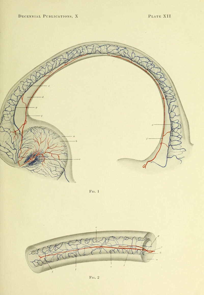 Fig. 1 e