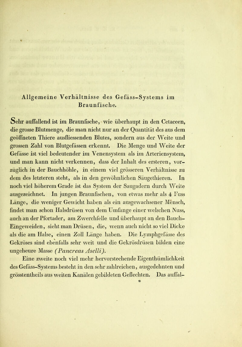 Braunfische. Sehr auffallend ist im Braunfische, wie überhaupt in den Cetaceen, die grosse Blutmenge, die man nicht nur an der Quantität des aus dem geöffneten Thiere ausfliessenden Blutes, sondern aus der Weite und grossen Zahl von Blutgefässen erkennt. Die Menge und Weite der Gefässe ist viel bedeutender im Venensystem als im Arteriensystem, und man kann nicht verkennen, dass der Inhalt des ersteren, vor- züglich in der Bauchhöhle, in einem viel grösseren Verhältnisse zu dem des letzteren steht, als in den gewöhnlichen Säugethieren. In noch viel höherem Grade ist das System der Saugadern durch Weite ausgezeichnet. In jungen Braunfischen, von etwas mehr als 4 Fuss Länge, die weniger Gewicht haben als ein ausgewachsener Mensch, findet man schon Halsdrüsen von dem Umfange einer welschen Nuss, auch an der Pfortader, am Zwerchfelle und überhaupt an den Bauch- Eingeweiden, sieht man Drüsen, die, wenn auch nicht so viel Dicke als die am Halse, einen Zoll Länge haben. Die Lymphgefässe des Gekröses sind ebenfalls sehr weit und die Gekrösdrüsen bilden eine ungeheure Masse (Pancreas Aselli). Eine zweite noch viel mehr hervorstechende Eigenthiimlichkeit des Gefäss-Systems besteht in den sehr zahlreichen, ausgedehnten und grösstentheils aus weiten Kanälen gebildeten Geflechten. Das auffal-