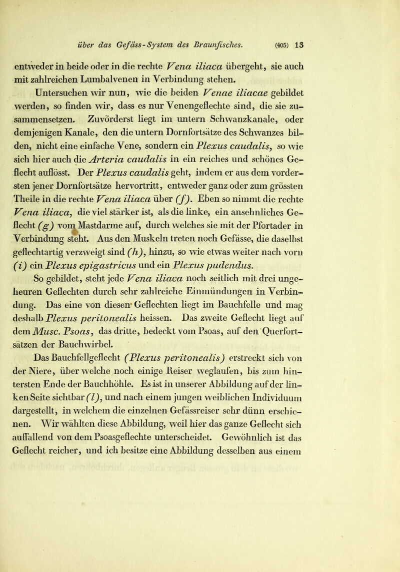 entweder in beide oder in die rechte Vena iliaca übergeht, sie auch mit zahlreichen Lumbalvenen in Verbindung stehen. Untersuchen wir nun, wie die beiden Venae iliacae gebildet werden, so finden wir, dass es nur Venengeflechte sind, die sie zu- sammensetzen. Zuvörderst liegt im untern Schwanzkanale, oder demjenigen Kanäle, den die untern Dornfortsätze des Schwanzes bil- den, nicht eine einfache Vene, sondern ein Plexus caudalis, so wie sich hier auch die Arteria caudalis in ein reiches und schönes Ge- flecht auflösst. Der Plexus caudalis geht, indem er aus dem vorder- sten jener Dornfortsätze hervortritt, entweder ganz oder zum grössten Theile in die rechte Vena iliaca über (f). Eben so nimmt die rechte Vena iliaca, die viel stärker ist, als die linke, ein ansehnliches Ge- flecht (g) vom Mastdarme auf, durch welches sie mit der Pfortader in Verbindung steht. Aus den Muskeln treten noch Gefässe, die daselbst geflechtartig verzweigt sind (h), hinzu, so wie etwas weiter nach vorn (i) ein Plexus epigastricus und ein Plexus pudendus. So gebildet, steht jede Vena iliaca noch seitlich mit drei unge- heuren Geflechten durch sehr zahlreiche Einmündungen in Verbin- dung. Das eine von diesen Geflechten liegt im Bauchfelle und mag deshalb Plexus peritonealis heissen. Das zweite Geflecht liegt auf dem Muse. Psoas, das dritte, bedeckt vom Psoas, auf den Querfort- sätzen der Bauchwirbel. Das Bauchfellgeflecht (Plexus peritonealis) erstreckt sich von der Niere, über welche noch einige Reiser weglaufen, bis zum hin- tersten Ende der Bauchhöhle. Es ist in unserer Abbildung auf der lin- ken Seite sichtbar (l), und nach einem jungen weiblichen Individuum dargestellt, in welchem die einzelnen Gefässreiser sehr dünn erschie- nen. Wir wählten diese Abbildung, weil hier das ganze Geflecht sich auffallend von dem Psoasgeflechte unterscheidet. Gewöhnlich ist das Geflecht reicher, und ich besitze eine Abbildung desselben aus einem