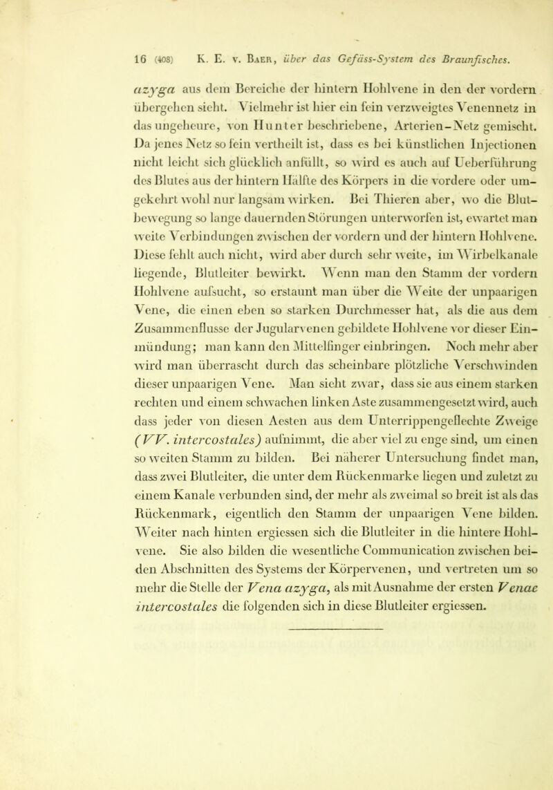 azyga aus dem Bereiche der hintern Hohlvene in den der vordem übergehen sieht. \ iehnehr ist liier ein fein verzweigtes Yenennetz in das ungeheure, von Hunter beschriebene, Arterien-Netz gemischt. Da jenes Netz so fein vertheilt ist, dass cs bei künstlichen Injectionen nicht leicht sich glücklich anfüllt, so wird es auch auf Ueberfiihrung des Blutes aus der hintern Hälfte des Körpers in die vordere oder um- gekehrt wohl nur langsam wirken. Bei Thiercn aber, wo die Blut- bewegung so lange dauernden Störungen unterworfen ist, ewartet man weite Verbindungen zwischen der vordem und der hintern Hohlvene. Diese fehlt auch nicht, wird aber durch sehr weite, im Wirbelkanale liegende, Blutleiter bewirkt. V enn man den Stamm der vordem Hohlvene aufsucht, so erstaunt man über die V eite der unpaarigen Vene, die einen eben so starken Durchmesser hat, als die aus dem Zusammenflüsse der Jugularvenen gebildete Hohlvene vor dieser Ein- mündung; man kann den Mittelfinger cinbringen. Noch mehr aber wird man überrascht durch das scheinbare plötzliche Verschwinden dieser unpaarigen Vene. Man sicht zwar, dass sic aus einem starken rechten und einem schwachen linken Aste zusammengesetzt wird, auch dass jeder von diesen Aestcn aus dem L nterrippcngcflechte Zw eige (W. int er co st ctles) aufnimmt, die aber viel zu enge sind, um einen so weiten Stamm zu bilden. Bei näherer Untersuchung findet man, dass zwrei Blutleitcr, die unter dem Rückenmarke liegen und zuletzt zu einem Kanäle verbunden sind, der mehr als zweimal so breit ist als das Rückenmark, eigentlich den Stamm der unpaarigen Vene bilden. Weiter nach hinten ergicssen sich che Blutleiter in die hintere Hohl- vene. Sie also bilden die wesentliche Conmmnication zwischen bei- den Abschnitten des Systems der Körpervenen, und vertreten um so mehr die Stelle der T^ejia azyga, als mit Ausnahme der ersten Venac intercostales die folgenden sich in diese Blutleiter ergiessen.