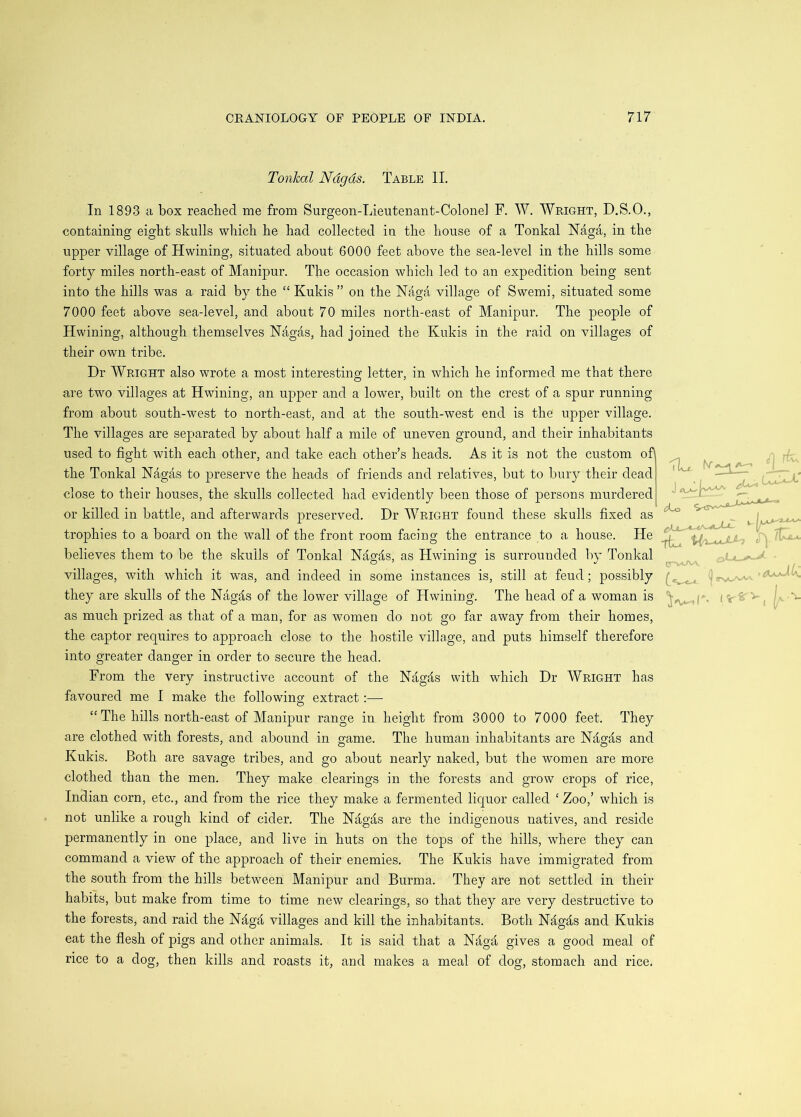 Tonkal Ndgds. Table 1L In 1893 a box reached me from Surgeon-Lieutenant-Colone] F. W. Wright, D.S.O., containing eight skulls which he had collected in the house of a Tonkal Naga, in the upper village of Hwining, situated about 6000 feet above the sea-level in the hills some forty miles north-east of Manipur. The occasion which led to an expedition being sent into the hills was a raid by the “ Kukis” on the Naga village of Swemi, situated some 7000 feet above sea-level, and about 70 miles north-east of Manipur. The people of Hwining, although themselves Nagas, had joined the Kukis in the raid on villages of their own tribe. Dr Wright also wrote a most interesting letter, in which he informed me that there are two villages at Hwining, an upper and a lower, built on the crest of a spur running from about south-west to north-east, and at the south-west end is the upper village. The villages are separated by about half a mile of uneven ground, and their inhabitants used to fight with each other, and take each other’s heads. As it is not the custom of the Tonkal Nagas to preserve the heads of friends and relatives, but to bury their dead close to their houses, the skulls collected had evidently been those of persons murdered or killed in battle, and afterwards preserved. Dr Wright found these skulls fixed as trophies to a board on the wall of the front room facing the entrance to a house. He believes them to be the skulls of Tonkal Nagd,s, as Hwining is surrounded by Tonkal villages, with which it was, and indeed in some instances is, still at feud; possibly they are skulls of the Nagjls of the lower village of Hwining. The head of a woman is as much prized as that of a man, for as women do not go far away from their homes, the captor requires to approach close to the hostile village, and puts himself therefore into greater danger in order to secure the head. From the very instructive account of the Nag^ts with which Dr Wright has favoured me I make the following; extract:— “ The hills north-east of Manipur range in height from 3000 to 7000 feet. They are clothed with forests, and abound in game. The human inhabitants are Ndgas and Kukis. Both are savage tribes, and go about nearly naked, but the women are more clothed than the men. They make clearings in the forests and grow crops of rice, Indian corn, etc., and from the rice they make a fermented liquor called ‘ Zoo,’ which is not unlike a rough kind of cider. The Ndgds are the indigenous natives, and reside permanently in one place, and live in huts on the tops of the hills, where they can command a view of the approach of their enemies. The Kukis have immigrated from the south from the hills between Manipur and Burma. They are not settled in their habits, but make from time to time new clearings, so that they are very destructive to the forests, and raid the Ndgd villages and kill the inhabitants. Both Ndgds and Kukis eat the flesh of pigs and other animals. It is said that a Ndgd gives a good meal of rice to a dog, then kills and roasts it, and makes a meal of dog, stomach and rice.