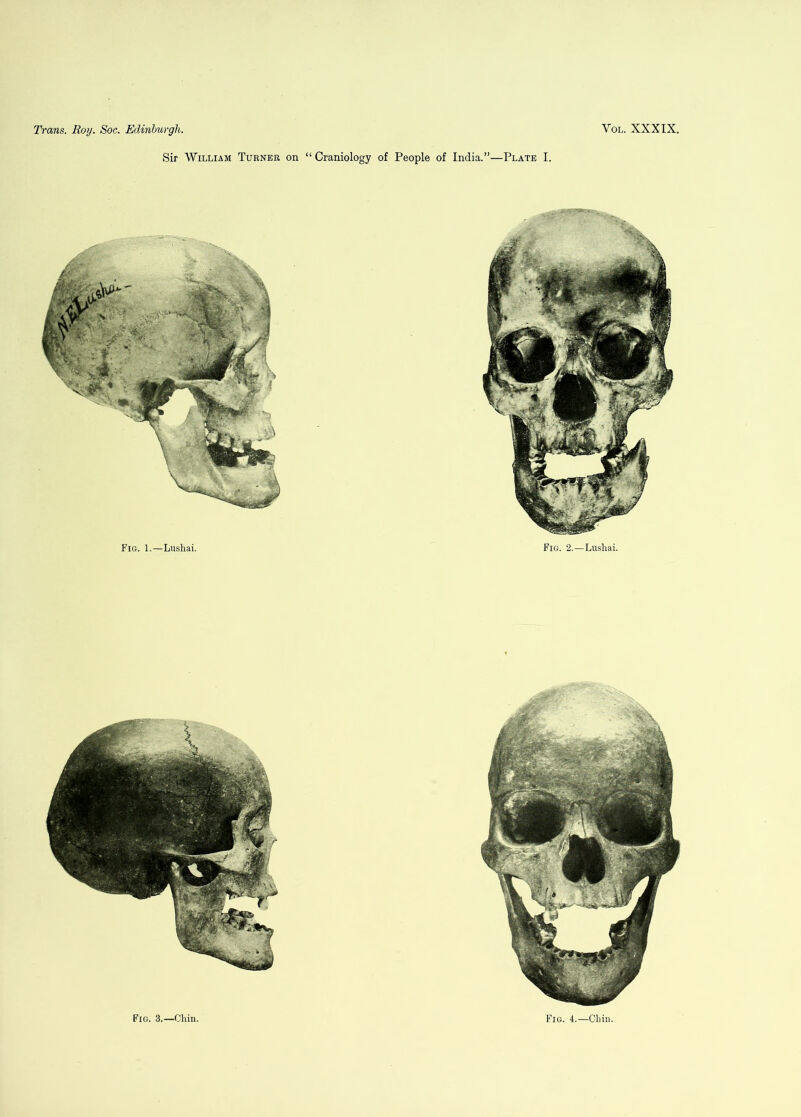 Sir William Turner on “ Craniology of People of India.”—Plate I. Fig. 3.—Chin. Fig. 4.—Chin.