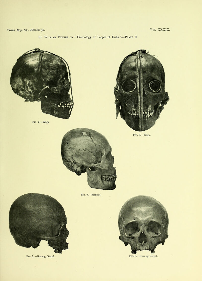 Sir William Turner on “ Craniology of People of India.”—Plate II Fig. 7.—Gurung, Nepal. Fig. 8.—Gurung, Nepal.