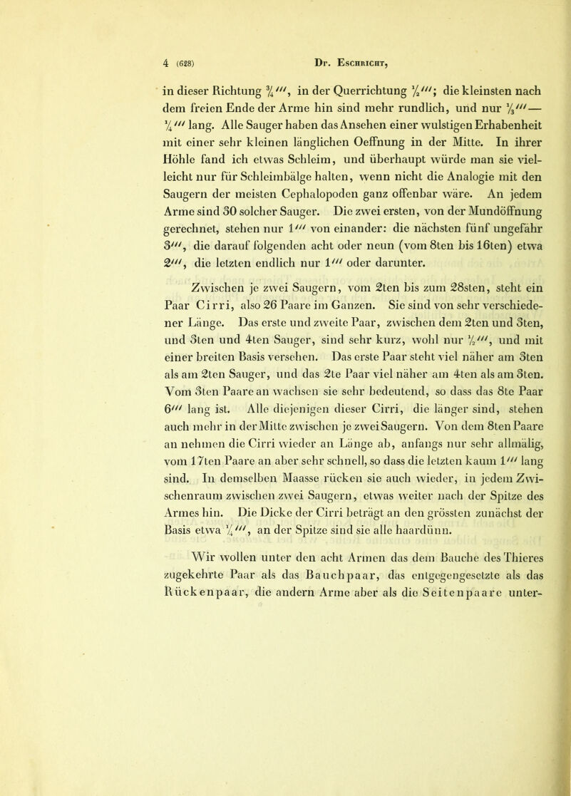 in dieser Richtung in der Querrichtung %/7/; die kleinsten nach dem freien Ende der Arme hin sind mehr rundlich, und nur /V— %1/1 lang. Alie Sauger haben das Ansehen einer wulstigen Erhabenheit mit einer sehr kleinen langlichen OefFnung in der Mitte. In ihrer Hohle fand ich etwas Schleim, und iiberhaupt wiirde man sie viel- leicht nur fur Schleimbalge halten, wenn nicht die Analogie mit den Saugern der meisten Cephalopoden ganz offenbar ware. An jedem Arme sind 30 solcher Sauger. Die zwei ersten, von der Munddffnung gerechnet, stehen nur 17// von einander: die nachsten fiinf ungefahr 3//7, die darauf folgenden acht oder neun (vom 8ten bis 16ten) etwa die letzten endlich nur lw oder darunter. Zwiscben je zwei Saugern, vom 2ten bis zum 28sten, steht ein Paar Cirri, also 26 Paare im Ganzen. Sie sind von sehr verschiede- ner Lange. Das erste und zweite Paar, zwiscben dem 2ten und oten, und oten und 4ten Sauger, sind sehr kurz, wobl nur Va7, und mit einer breiten Basis verseben. Das erste Paar steht viel naher am 3ten ais am 2ten Sauger, und das 2te Paar viel naher am 4ten ais am 3ten. Vom 3ten Paare an wachsen sie sehr bedeutend, so dass das 8te Paar 6W lang ist. Alie diejenigen dieser Cirri, die langer sind, stehen auch mehr in der Mitte zwiscben je zwei Saugern. Von dem 8ten Paare an nehmen die Cirri wieder an Liinge ab, anfangs nur sehr allmalig, vom 17ten Paare an aber sehr schnell, so dass die letzten kaum l/y/ lang sind. In demselben Maasse riicken sie auch wieder, in jedem Zwi- schenraum zwiscben zwei Saugern, etwas weiter nach der Spitze des Armes hin. Die Dicke der Cirri betragt an den grossten zunachst der Basis etwa %/7/, an der Spitze sind sie alie haardiinn. Wir woilen unter den acht Armen das dem Baucbe des Tbieres zugekehrte Paar ais das Baucbpaar, das entgegengesetzte ais das Biickenpaar, die andern Arme aber ais die Seitenpaare unter-