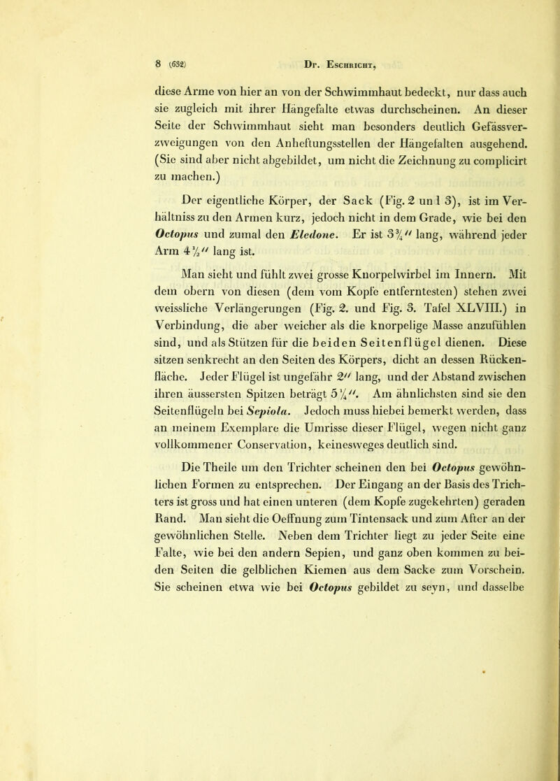 cliese Arme von hier an von der Schwimmhaut bedeckt, nur dass auch sie zugleich mit ihrer Hangefalte etwas durchscheinen. An dieser Seite der Schwimmhaut sieht man besonders deutlich Gefassver- zweigungen von den Anheftungsstellen der Hangefalten ausgehend. (Sie sind aber nicht abgebildet, um nicht die Zeichnung zu complicirt zu machen.) Der eigentliche Korper, der Sack (Fig. 2 un I 3), ist im Ver- haltniss zu den Armen kurz, jedoch nicht in dem Grade, wie bei den Octopus und zumal den Eledone. Er ist 3% lang, wahrend jeder Arm 41/2// lang ist. Man sieht und fiihlt zwei grosse Knorpelwirbel im Innern. Mit dem obern von diesen (dem vom Kopfe entferntesten) stehen zwei weissliche Verliingerungen (Fig. 2. und Fig. 3. Tafel XLVIII.) in Verbindung, die aber weicher ais die knorpelige Masse anzufiihlen sind, und ais Stiitzen fiir die beiden Seitenfliigel dienen. Diese sitzen senkrecht an den Seiten des Korpers, dicht an dessen Riicken- flache. Jeder Fliigel ist ungefahr 2U lang, und der Abstand zwischen ihren aussersten Spitzen betragt 3'lJ1. Am ahnlichsten sind sie den Seitenfliigeln bei Sepiola. Jedoch muss hiebei bemerkt werden, dass an meinem Exemplare die Umrisse dieser Fliigel, wegen nicht ganz vollkoinmener Conservation, keinesweges deutlich sind. Die Theile um den Trichter scheinen den bei Octopus gewohn- lichen Formen zu entsprechen. Der Eingang an der Basis des Trich- ters ist gross und hat einen unteren (dem Kopfe zugekehrten) geraden Rand. Man sieht die Oeffnung zum Tintensack und zum After an der gewohnlichen Stelle. Neben dem Trichter liegt zu jeder Seite eine Falte, wie bei den andern Sepien, und ganz oben kommen zu bei- den Seiten die gelblichen Kiemen aus dem Sacke zum Vorschein. Sie scheinen etwa wie bei Octopus gebildet zu seyn, und dasselbe