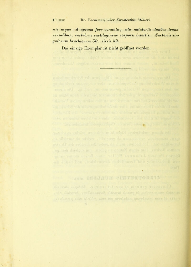 nis usque ad apicem fere connatis$ alis natatoriis versalibus, vertebrae cartilagineae corporis insertis, galorum brachiorum 50, cirris 52. Das einzige Exemplar ist nicht geoffnet worden. duabus trans Suctoriis sin