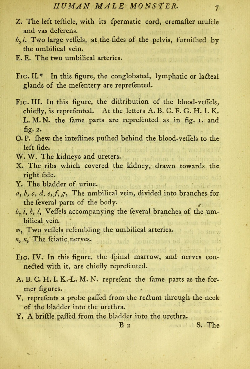 Z. The left tefticle, with its fpermatic cord, cremafter mufcle and vas deferens. h, i. Two large veflels, at the fides of the pelvis, furnilhed by the umbilical vein. E. E. The two umbilical arteries. Fig. II.* In this figure, the conglobated, lymphatic or lactteal glands of the mefentery are reprefented. Fig. III. In this figure, the diftribution of the blood-veflels, chiefly, is reprefented. At the letters A. B. C. F. G. H. I. K. L. M. N. the fame parts are reprefented as in fig. i. and %• 2- O. P. fhew the inteftines puflied behind the blood-veflels to the left fide. W. W. The kidneys and ureters. X. The ribs which covered the kidney, drawn towards the right fide. Y. The bladder of urine. a, b, c, d, e,f, g, The umbilical vein, divided into branches for the feveral parts of the body. by 2, ky /, Veflels accompanying the feveral branches of the um- bilical vein, my Two veflels refembling the umbilical arteries. riy tiy The fciatic nerves. Fig. IV. In this figure, the fpinal marrow, and nerves con- nedled with it, are chiefly reprefented. A. B. C. H. I. K.^L. M. N. reprefent the fame parts as the for- mer figures. V. reprefents a probe pafled from the redlum through the neck of the bladder into the urethra. Y. A brittle pafled from the bladder into the urethra.