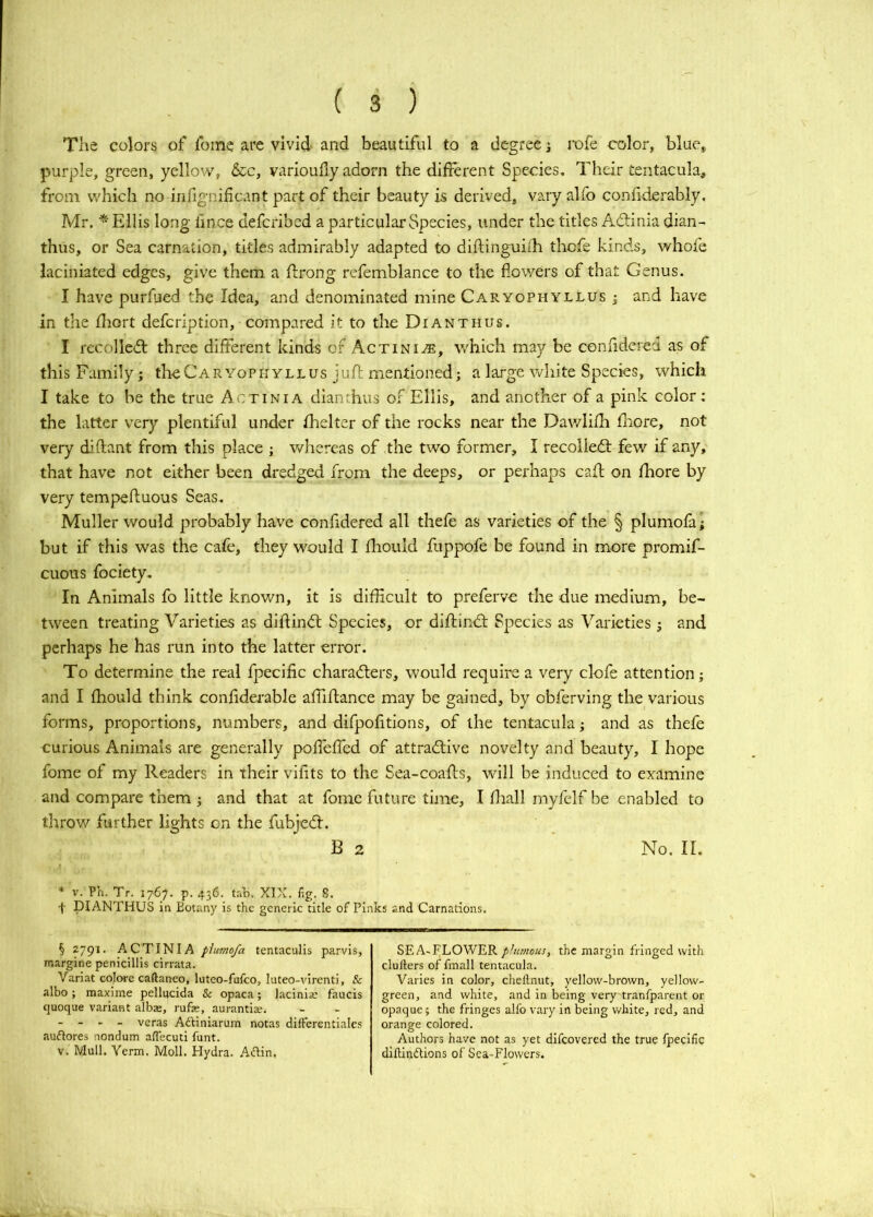 Tlie colors of fbme are vivid and beautiful to a degree i rofe color, blue, purple, green, yellow, &c, varioufy adorn the different Species, Their tentacula, from which no infignihcant part of their beauty is derived, vary alfo confiderably, Mr. * Ellis long fince defcribcd a particular Species, under the titles Adlinia dian- thus, or Sea carnation, tides admirably adapted to diftinguiih thcfe kinds, whofe laciniated edges, give them a flrong refemblance to the flowers of that Genus. I have purfued the Idea, and denominated mine Caryophyllus ^ and have in the iliort defcription, compared it to the Dianthus. I recolledl: three different kinds of Actinia, which may be confidered as of this Family; theCAR yophyllus jufl mentioned; a large white Species, which I take to he the true Actinia dianthus of Ellis, and another of a pink color : the latter very plentiful under Ihelter of the rocks near the Dawlifli fliore, not very diftant from this place ; v/hereas of the two former, I recolledl: few if any, that have not either been dredged from the deeps, or perhaps caft on fhore by very tempefluous Seas, Muller would probably have confidered all thefe as varieties of the § plumoia; but if this was the cafe, they would I fliould fuppofe be found in more promif- cuous fociety. In Animals fo little knov/n, it is difficult to preferve the due medium, be- tween treating Varieties as difirndt Species, or diftindt Species as Varieties; and perhaps he has run into the latter error. To determine the real fpecific charadters, would require a very clofe attention; and I ffiould think confidei-able affiifance may be gained, by obferving the various forms, proportions, numbers, and difpofitions, of the tentacula; and as thefe curious Animals are generally pofleffed of attradlive novelty and beauty, I hope fome of my Readers in their vifits to the Sea-coaffs, will be induced to examine and compare them ; and that at fome future time, I fiiall myfelf be enabled to throw further lights on the fubjedl. B 2 * No. II. * V. Ph. Tr. 1767. p. 436. tab. XIX. fig. 8. DIANTHUS in Botany is the generic title of Pinks and Carnations. § 2791. ACTINIA plufno/a tentaculis parvis, margine penicillis cirrata. Variat colwe caftaneo, luteo-fufeo, luteo-virenti, & albo; maxime pellncida & opaca; Jacinia? faucis (juoque variant albae, rufas, aurantiae. - - . - veras Adliniarum notas differentiale.s auftores nondum affecuti funt. V. Mull. Yerm. Moll. Hydra. Adin. SEA'FLOWER phanous, the margin fringed with clufters of fmall tentacula. Varies in color, chellnut, yellow-brown, yellow- green, and white, and in being very'tranfparent or opaque; the fringes alfo vary in being white, red, and orange colored. Authors have not as yet difeovered the true fpecific diftindlions of Sea-Flowers.
