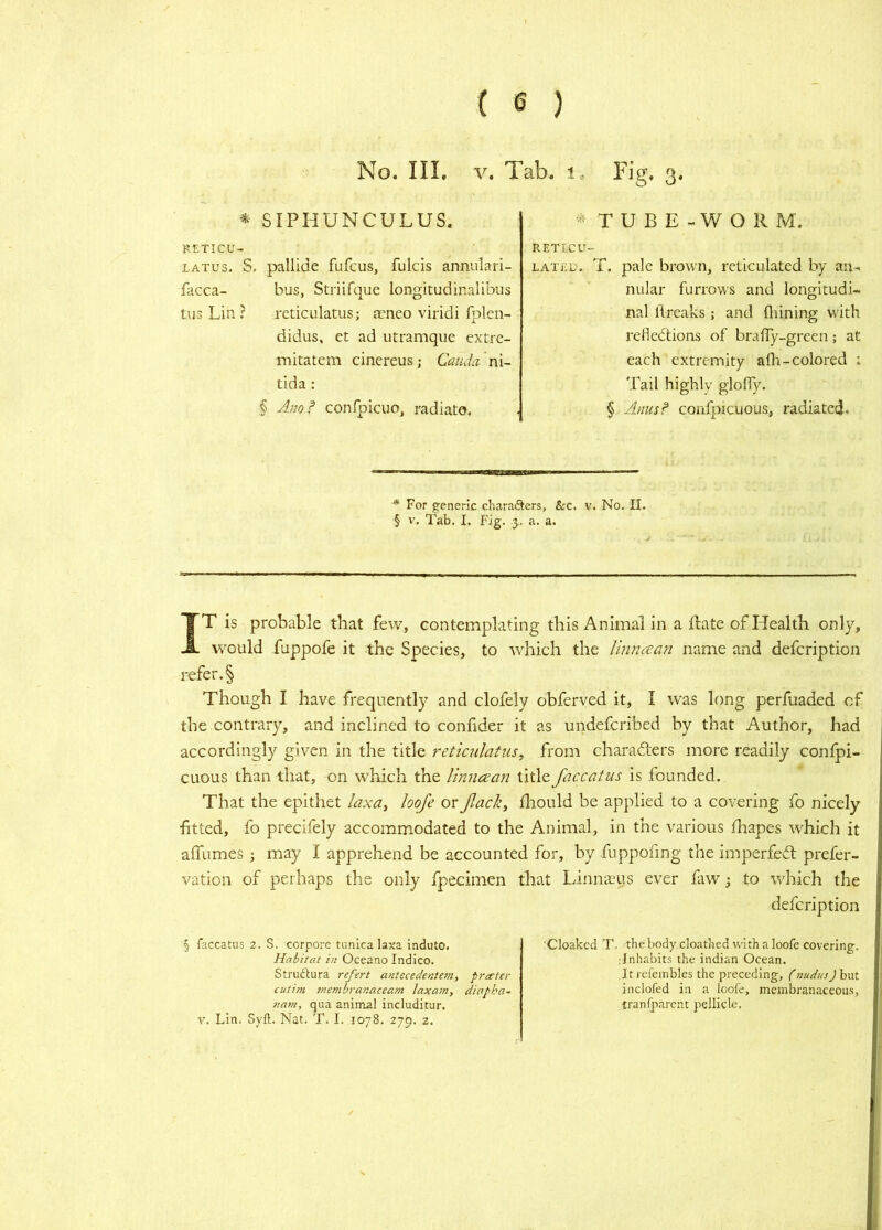 No. Ill, Tab. 1, FiV. 3. SIPHUNCULUS. RETICU- LATus. S. pallide fufcus, fulcis annulari- facca- bus, Striifque longitudinalibus tus Lin ? reticulatus; jeneo viridi fplen- didus. et ad utramque extre- mitatem cinereus; Cauda n\- tida : § Anof confpicuo, radiate. ^ TUBE-WORM. RETICU- LATED. T. pale brown, reticulated by an.. nular furrow's and longitudi- nal lireaks ; and fliining with refle<£lions of bralTy-green; at each extremity afh-colored ; Tail highly glolTy. § Anus? confpicuous, radiated* ■* For generic charaSers, &c. v. No. II. § V. Tab. I. Fig. 3. a. a. IT is probable that few, contemplating this Animal in a Rate of Health only, would fuppofe it the Species, to which the linnetan name and defeription refer. § Though I have frequently and clofely obferved it, I was long perfuaded of the contrary, and inclined to confider it as undeferibed by that Author, had accordingly given in the title reticulatus, from charadlers more readily confpi- cuous than that, on which the linneean title face at us is founded. That the epithet laxa, looje or fack, fliould be applied to a covering fo nicely fitted, fo precifely accommodated to the Animal, in the various fliapes which it affumes; may I apprehend be accounted for, by fuppofing the imperfedf prefer- vation of perhaps the only fpecimen that Linnaeus ever faw j to which the defeription Cloaked T. the body cloathed with a loofe covering. Inhabits the Indian Ocean. It refeinbles the preceding, (nudus) but inclofed in a loofe, membranaceous, tranfjiarent pellicle. § faccatus 2. S. corpore tunica laxa induto. Habitat in Oceano Indico. Struftura refert antecedentem, prater culitn tnembranaceam laxam, diapha~ nam, qua animal includitur. V. Lin. Syft. Nat. T. I. 1078. 279. 2. /