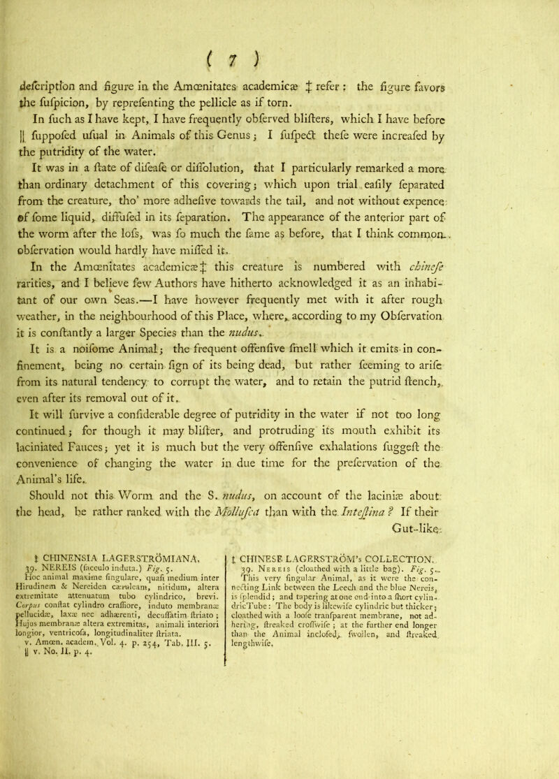 deicriptfon and figure in the Amcenitates academicge J refer : the figure favors llie fufpicion, by reprefenting the pellicle as if torn. In fuch as I have kept, I have frequently obferved blifiers, which I have before II fuppofed ufual in Animals of this Genus j I fufped: thefe were increafed by the putridity of the water. It was in a ftate of diieafe or dilfolution, that I particularly remarked a more, than ordinary detachment of this covering 3 which upon trial eafily feparated from the creature, tho’ more adhefive towards the tail, and not without expence: ©f fome liquid,, diffufed in its feparation. The appearance of the anterior part of the worm after the lofs, was fo much the fame as before, that I think commom obfervation would hardly have mhfed it.. In the Amcenitates academlcas:|; this creature is numbered v/ith chimfe rarities, and I believe few Authors have hitherto acknowledged it as an inhabi- tant of our own Seas.—I have however frequently met with it after roughs weather, in the neighbourhood of this Place, where,, according to my Obfervation it is confeantly a larger Species than the nudiis^. It is a noifome Animal; the frequent offenfiVe finell which it emits-in con- finement, being no certain fign of its being dead, but rather feeming to arife from its natural tendency to corrupt the water, and to retain the putrid ftench,„ even after its removal out of it,. It will furvive a confiderable degree of putridity in the water if not too long continued; for though it may blifeer, and protruding its mouth exhibit its laciniated Fauces; yet it is much but the very offenfive exhalations fuggefi; the convenience of changing the water in due time for the prefervation of the. Animal’s life.. Should not this Worm and the S. nudtiSy on account of the lacinijE about' the head, be rather ranked with the MoUufca than with the. Intejlina ? If their Gut-like.. t CHINENSIA LAGERSTR5mIANA, 59. NEREIS (facculo induta.) Fig. 5. Hoc animal ma.Kirne fmgnlarc, quafi medium inter Hirudinem & Nereiden ca;ruleam, nitidum, altera extremitate attenuatum tubo cylindrico, brevi. Carpus conftat cylindro crafliore, induto membranae pellucida;, laxm ncc adhaerenti, decuflatim ftriato; Hujus membranas altera extremitas, animali interior! longior, ventricofa, longitudinaliter ftriata. V. Amcen. academ. Vol. 4. p. 2C4, Tab. 111. c. 11 V. No. II. p. 4. ^ t CHINESE LAGERSTROM’s COLLECTION. 39. Nereis (cloathed with a little bag). Fig. This very lingular Animal, as it were the con- necting Link between the Leech and the blue Nereis, is t'plendid; and tapering atone end-into a Ihort cylin- dricTube: The body is likewife cylindric but thicker; cloathed with a loofe tranfparent membrane, not ad- hering, ftreaked crolTwile ; at the further end longer than the Animal inclofed,. fwoJlen, and Hreaked. lengthwife.