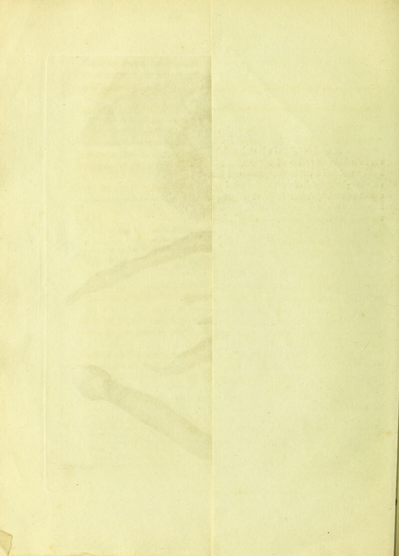 f 4 ’ / >.• ■} •V ■ “ a t- 0 ‘ ■ - V '5' I, ■' 1^ /■ ‘