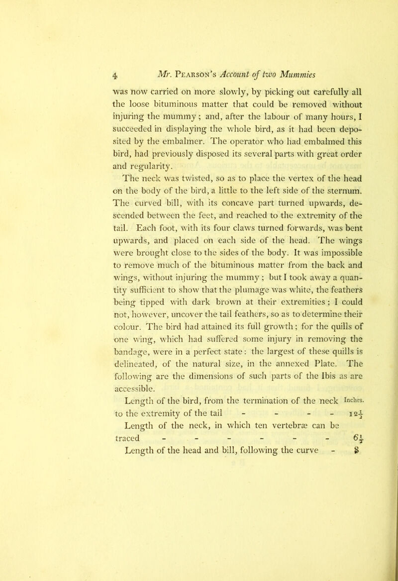 was now carried on more slowly, by picking out carefully all the loose bituminous matter that could be removed v/ithout injuring the mummy; and, after the labour of many hours, I succeeded in displaying the whole bird, as it had been depo- sited by the embalmer. The operator who had embalmed this bird, had previously disposed its several parts with great order and regularity. The neck was twisted, so as to place the vertex of the head on the body of the bird, a little to the left side of the sternum. The curved bill, with its concave part turned upwards, de- scended between the feet, and reached to the extremity of the tail. Each foot, with its four claws turned forwards, was bent upwards, and placed on each side of the head. The wings were brought close to the sides of the body. It was impossible to remove much of the bituminous matter from the back and wings, without injuring the mummy ; but I took away a quan- tity sufficient to show that the plumage was white, the feathers being tipped with dark brown at their extremities ; I could not, however, uncover the tail feathers, so as to determine their colour. The bird had attained its full growth; for the quills of one wing, which had suffered some injury in removing the bandage, were in a perfect state: the largest of these quills is delineated, of the natural size, in the annexed Plate. The following are the dimensions of such parts of the Ibis as are accessible. Length of the bird, from the termination of the neck inches, to the extremity of the tail - - - - 12^ Length of the neck, in which ten vertebrae can be traced 6^ Length of the head and bill, following the curve - ^