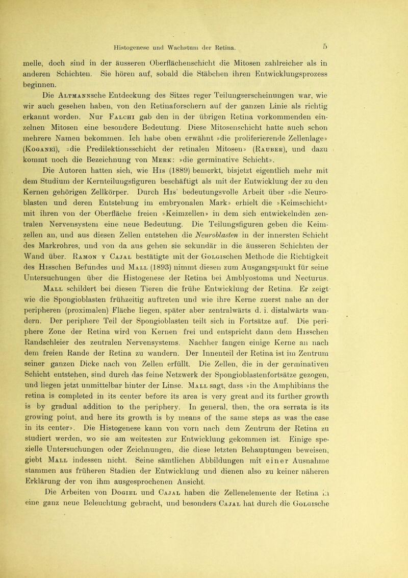 melle, doch sind in der äusseren Oberflächenschicht die Mitosen zahlreicher als in anderen Schichten. Sie hören auf, sobald die Stäbchen ihren Entwicklungsprozess beginnen. Die Ai/rMANNSche Entdeckung des Sitzes reger Teilungserscheinungen war, wie wir auch gesehen haben, von den Retinaforschern auf der ganzen Linie als richtig erkannt worden. Nur Falchi gab den in der übrigen Retina vorkommenden ein- zelnen Mitosen eine besondere Bedeutung. Diese Mitosen Schicht hatte auch schon mehrere Namen bekommen. Ich habe oben erwähnt »die proliferierende Zellenlage» (Koganei), »die Predilektionsschicht der retinalen Mitosen» (Räuber), und dazu kommt noch die Bezeichnung von Merk: »die germinative Schicht». Die Autoren hatten sich, wie His (1889) bemerkt, bisjetzt eigentlich mehr mit dem Studium der Kernteiluugsöguren beschäftigt als mit der Entwicklung der zu den Kernen gehörigen Zellkörper. Durch His’ bedeutungsvolle Arbeit über »die Neuro- blasten und deren Entstehung im embryonalen Mark» erhielt die »Keimschicht» mit ihren von der Oberfläche freien »Keimzellen» in dem sich entwickelnden zen- tralen Nervensystem eine neue Bedeutung. Die Teilungsfiguren geben die Keim- zellen an, und aus diesen Zellen entstehen die Neuroblasten in der innersten Schicht des Markrohres, und von da aus gehen sie sekundär in die äusseren Schichten der Wand über. Ramon y Cajal bestätigte mit der OoLGischen Methode die Richtigkeit des Hisschen Befundes und Mall (1893) nimmt diesen zum Ausgangspunkt für seine Untersuchungen über die Histogenese der Retina bei Amblyostoma und Necturus. Mall schildert bei diesen Tieren die frühe Entwicklung der Retina. Er zeigt- wie die Spongioblasten frühzeitig auftreten und wie ihre Kerne zuerst nahe an der peripheren (proximalen) Fläche liegen, später aber zentralwärts d. i. distalwärts wan- dern. Der periphere Teil der Spongioblasten teilt sich in Fortsätze auf. Die peri- phere Zone der Retina wird von Kernen frei und entspricht dann dem Hisschen Randschleier des zentralen Nervensystems. Nachher fangen einige Kerne an nach dem freien Rande der Retina zu wandern. Der Inneuteil der Retina ist im Zentrum seiner ganzen Dicke nach von Zellen erfüllt. Die Zellen, die in der germinativen Schicht entstehen, sind durch das feine Netzwerk der Spongioblastenfortsätze gezogen, und liegen jetzt unmittelbar hinter der Linse. Mall sagt, dass »in the Amphibians the retina is completed in its center before its area is very great and its further growth is by gradual addition to the periphery. In general, then, the ora serrata is its growing poiut, and here its growth is by means of the same steps as was the case in its center». Die Histogenese kann von vorn nach dem Zentrum der Retina zu studiert werden, wo sie am weitesten zur Entwicklung gekommen ist. Einige spe- zielle Untersuchungen oder Zeichnungen, die diese letzten Behauptungen beweisen, giebt Mall indessen nicht. Seine sämtlichen Abbildungen mit einer Ausnahme stammen aus früheren Stadien der Entwicklung und dienen also zu keiner näheren Erklärung der von ihm ausgesprochenen Ansicht. Die Arbeiten von Dogiel und Cajal haben die Zellenelemente der Retina i;i eine ganz neue Beleuchtung gebracht, und besonders Cajal hat durch die OoLGische