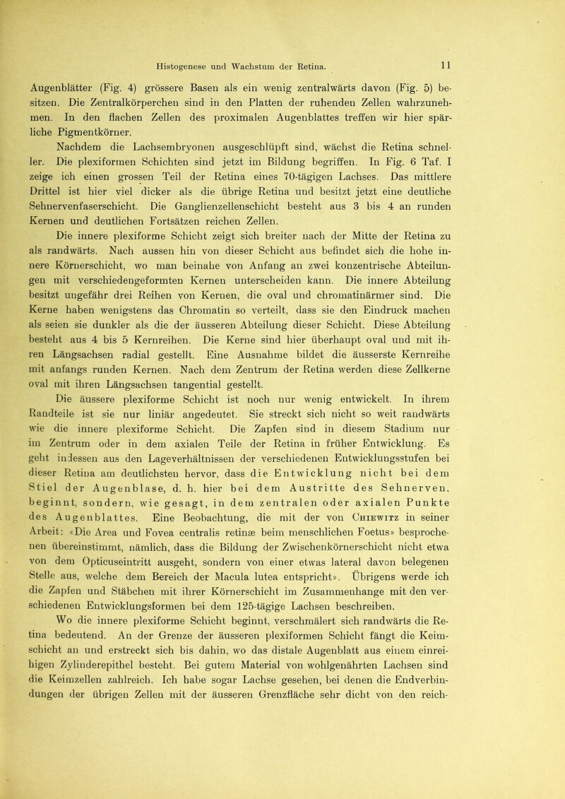 Augenblätter (Fig. 4) grössere Basen als ein wenig zentralwärts davon (Fig. 5) be- sitzen. Die Zentralkörperchen sind in den Platten der ruhenden Zellen wahrzuneh- men. In den flachen Zellen des proximalen Augenblattes treffen wir hier spär- liche Pigmentkörner. Nachdem die Lachsembryonen ausgeschlüpft sind, wächst die Retina schnel- ler. Die plexiformen Schichten sind jetzt im Bildung begriffen. In Fig. 6 Taf. I zeige ich einen grossen Teil der Retina eines 70-tägigen Lachses. Das mittlere Drittel ist hier viel dicker als die übrige Retina uud besitzt jetzt eine deutliche Sehnervenfaserschicht. Die Ganglienzellenschicht besteht aus 3 bis 4 an runden Kernen und deutlichen Fortsätzen reichen Zellen. Die innere plexiforme Schicht zeigt sich breiter nach der Mitte der Retina zu als randwärts. Nach aussen hin von dieser Schicht aus befindet sich die hohe in- nere Körnerschicht, wo man beinahe von Anfang an zwei konzentrische Abteilun- gen mit verseliiedengeformten Kernen unterscheiden kann. Die innere Abteilung besitzt ungefähr drei Reihen von Kernen, die oval und chromatinärmer sind. Die Kerne haben wenigstens das Chromatin so verteilt, dass sie den Eindruck machen als seien sie dunkler als die der äusseren Abteilung dieser Schicht. Diese Abteilung besteht aus 4 bis 5 Kernreihen. Die Kerne sind hier überhaupt oval und mit ih- ren Längsachsen radial gestellt. Eine Ausnahme bildet die äusserste Kernreihe mit anfangs runden Kernen. Nach dem Zentrum der Retina werden diese Zellkerne oval mit ihren Längsachsen tangential gestellt. Die äussere plexiforme Schicht ist noch nur wenig entwickelt. In ihrem Randteile ist sie nur liniär angedeutet. Sie streckt sich nicht so weit randwärts wie die innere plexiforme Schicht. Die Zapfen sind in diesem Stadium nur im Zentrum oder in dem axialen Teile der Retina in früher Entwicklung. Es geht indessen aus den Lageverhältnissen der verschiedenen Entwicklungsstufen bei dieser Retina am deutlichsten hervor, dass die Entwicklung nicht bei dem Stiel der Augenblase, d. h. hier bei dem Austritte des Sehnerven, beginnt, sondern, wie gesagt, in dem zentralen oder axialen Punkte des Augenblattes. Eine Beobachtung, die mit der von Chiewitz in seiner Arbeit: «Die Area und Fovea centralis retinse beim menschlichen Foetus» besproche- nen übereinstimmt, nämlich, dass die Bildung der Zwischenkörnerschicht nicht etwa von dem Opticuseintritt ausgeht, sondern von einer etwas lateral davon belegenen Stelle aus, welche dem Bereich der Macula lutea entspricht». Übrigens werde ich die Zapfen und Stäbchen mit ihrer Körnerschicht im Zusammenhänge mit den ver- schiedenen Entwicklungsformen bei dem 125-tägige Lachsen beschreiben. Wo die innere plexiforme Schicht beginnt, verschmälert sich randwärts die Re- tina bedeutend. An der Grenze der äusseren plexiformen Schicht fängt die Keim- schicht an und erstreckt sich bis dahin, wo das distale Augenblatt aus einem einrei- higen Zylinderepithel besteht. Bei gutem Material von wohlgenährten Lachsen sind die Keimzellen zahlreich. Ich habe sogar Lachse gesehen, hei denen die Endverbin- dungen der übrigen Zellen mit der äusseren Grenzfläche sehr dicht von den reich-