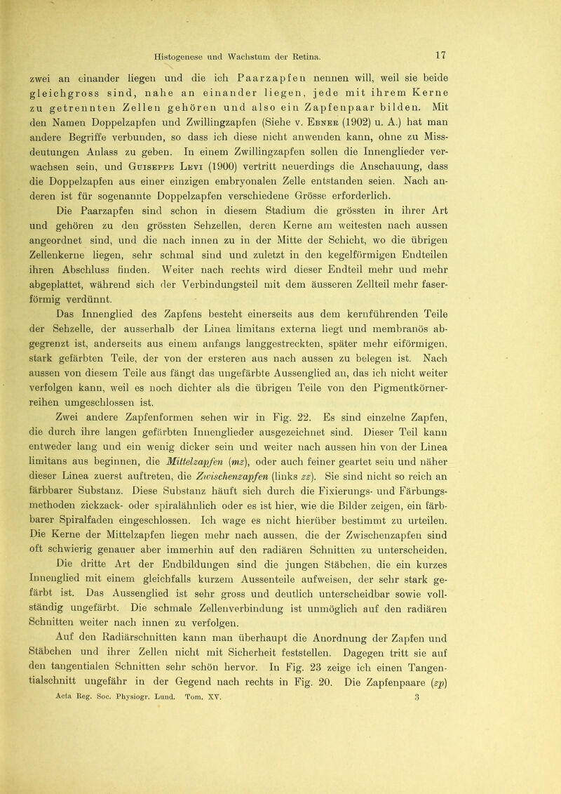 zwei an einander liegen und die ich Paar zapfen nennen will, weil sie beide gleich gross sind, nahe an einander liegen, jede mit ihrem Kerne zu getrennten Zellen gehören und also ein Zapfenpaar bilden. Mit den Namen Doppelzapfen und Zwillingzapfen (Siehe v. Ebner (1902) u. A.) hat man andere Begriffe verbunden, so dass ich diese nicht anwenden kann, ohne zu Miss- deutungen Anlass zu geben. In einem Zwillingzapfen sollen die Innenglieder ver- wachsen sein, und Gtjiseppe Levi (1900) vertritt neuerdings die Anschauung, dass die Doppelzapfen aus einer einzigen embryonalen Zelle entstanden seien. Nach an- deren ist für sogenannte Doppelzapfen verschiedene Grösse erforderlich. Die Paarzapfen sind schon in diesem Stadium die grössten in ihrer Art und gehören zu den grössten Sehzellen, deren Kerne am weitesten nach aussen angeordnet sind, und die nach innen zu in der Mitte der Schicht, wo die übrigen Zellenkerne liegen, sehr schmal sind und zuletzt in den kegelförmigen Eudteilen ihren Abschluss finden. Weiter nach rechts wird dieser Endteil mehr und mehr abgeplattet, während sich der Verbindungsteil mit dem äusseren Zellteil mehr faser- förmig verdünnt. Das Innenglied des Zapfens besteht einerseits aus dem kernführenden Teile der Sehzelle, der ausserhalb der Linea limitans externa liegt und membranös ab- gegrenzt ist, anderseits aus einem anfangs langgestreckten, später mehr eiförmigen, stark gefärbten Teile, der von der ersteren aus nach aussen zu belegen ist. Nach aussen von diesem Teile aus fängt das ungefärbte Aussenglied an, das ich nicht weiter verfolgen kann, weil es noch dichter als die übrigen Teile von den Pigraentkörner- reihen umgeschlossen ist. Zwei andere Zapfenformen sehen wir in Fig. 22. Es sind einzelne Zapfen, die durch ihre langen gefärbten Innenglieder ausgezeichnet sind. Dieser Teil kann entweder lang und ein wenig dicker sein und weiter nach aussen hin von der Linea limitans aus beginnen, die Mittelzapfen (mz), oder auch feiner geartet seiu und näher dieser Linea zuerst auftreten, die Zivischenzapfen (links zz). Sie sind nicht so reich an färbbarer Substanz. Diese Substanz häuft sich durch die Fixierungs- und Färbungs- methoden zickzack- oder spiralähnlich oder es ist hier, wie die Bilder zeigen, ein färb- barer Spiralfaden eingeschlossen. Ich wage es nicht hierüber bestimmt zu urteilen. Die Kerne der Mittelzapfen liegen mehr nach aussen, die der Zwischenzapfen sind oft schwierig genauer aber immerhin auf den radiären Schnitten zu unterscheiden. Die dritte Art der Endbildungen sind die jungen Stäbchen, die ein kurzes Innenglied mit einem gleichfalls kurzem Aussenteile aufweisen, der sehr stark ge- färbt ist. Das Aussenglied ist sehr gross und deutlich unterscheidbar sowie voll- ständig ungefärbt. Die schmale Zellenverbindung ist unmöglich auf den radiären Schnitten weiter nach innen zu verfolgen. Auf den Radiärschnitten kann man überhaupt die Anordnung der Zapfen und Stäbchen und ihrer Zellen nicht mit Sicherheit feststellen. Dagegen tritt sie auf den tangentialen Schnitten sehr schön hervor. Iu Fig. 23 zeige ich einen Tangen- tialschnitt ungefähr in der Gegend nach rechts in Fig. 20. Die Zapfenpaare (zp) Acta Reg. Soc. Physiogr. Lund. Tom. XV. 3