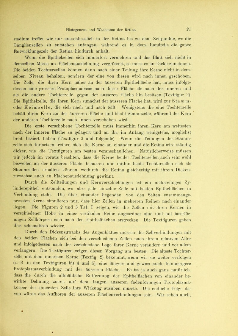 Stadium treffen wir nur ausschliesslich in der Retina bis zu dem Zeitpunkte, wo die Ganglienzellen zu entstehen anfangen, während es in dem Randteile die ganze Entwicklungszeit der Retina hindurch anhält. Wenn die Epithelzellen sich immerfort vermehren und das Blatt sich nicht in demselben Masse an Flächenausdehnung vergrössert, so muss es an Dicke zunehmen. Die beiden Tochterzellen können dann nach einer Teilung ihre Kerne nicht in dem- selben Niveau behalten, sondern der eine von diesen wird nach innen geschoben. Die Zelle, die ihren Kern näher an der äusseren Epithelfiäche hat, muss infolge- dessen eine grössere Protoplasmabasis nach dieser Fläche als nach der inneren und als die andere Tochterzelle gegen der äusseren Fläche hin besitzen (Textfigur 2). Die Epithelzelle, die ihren Kern zunächst der äusseren Fläche hat, wird zur Stamm- oder Keimzelle, die sich nach und nach teilt. Wenigstens die eine Tochterzelle behält ihren Kern an der äusseren Fläche und bleibt Stammzelle, während der Kern der anderen Tochterzelle nach innen verschoben wird. Die erste verschobene Tochterzelle muss immerhin ihren Kern am weitesten nach der inneren Fläche zu gelagert und an ihr, im Anfang wenigstens, möglichst breit basiert haben (Textfigur 2 und folgende). Wenn die Teilungen der Stamm- zelle sich fortsetzen, reihen sich die Kerne an einander und die Retina wird ständig dicker, wie die Textfiguren am besten veranschaulichen. Natürlicherweise müssen wir jedoch im voraus beachten, dass die Kerne beider Tochterzellen auch sehr wohl bisweilen an der äusseren Fläche beharren und mithin beide Tochterzellen sich als Stammzellen erhalten können, wodurch die Retina gleichzeitig mit ihrem Dicken- zuwachse auch an Flächenausdehnung gewinnt. Durch die Zellteilungen und Kernverschiebungen ist ein mehrreihiges Zv- liuderepithel entstanden, wo also jede einzelne Zelle mit beiden Epithelflächen in Verbindung steht. Die über einander liegenden, von den Seiten zusammenge- pressten Kerne simulieren nur, dass hier Zellen in mehreren Reihen nach einander liegen. Die Figuren 2 und 3 Taf. I zeigen, wie die Zellen mit ihren Kernen in verschiedener Höhe in einer vertikalen Reihe angeordnet sind uud mit faserför- migen Zellkörpern sich nach den Epithelflächen erstrecken. Die Textfiguren geben dies schematisch wieder. Durch den Dickenzuwachs des Augenblattes müssen die Zellverbindungen mit den beiden Flächen sich bei den verschiedenen Zellen nach ihrem relativen Alter und infolgedessen nach der verschiedene Lage ihrer Kerne verändern und vor allem verlängern. Die Textfiguren zeigen diesen Vorgang am besten. Die älteste Tochter- zelle mit dem innersten Kerne (Textfig. 2) bekommt, wenn wir sie weiter verfolgen (z. ß. in den Textfiguren bis 4 und 5), eine längere und gewiss auch feinfasrigere Protoplasmaverbindung mit der äusseren Fläche. Es ist ja auch ganz natürlich dass die durch die allmähliche Entfernung der Epithel flächen von einander be- wirkte Dehnung zuerst auf dem langen äusseren fadenförmigen Protoplasma- körper der innersten Zelle ihre Wirkung ausüben musste. Die endliche Folge da- von würde das Aufhören der äusseren Flächenverbindungen sein. Wir sehen auch,