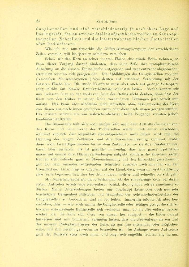 Ganglienzellen und sind verschiedenartig je nach ihrer Lage und Lösungszeit, die an zweiter Stelle aufgeführten werden zu Neuroepi- thelzellen (S eh zellen) und die letzterwähnten bleiben Epithelzellen oder Radiärfasern. Wie ich mir nun fernerhin die Differenzierungsvorgänge der verschiedenen Zellen vorstelle, will ich jetzt zu schildern versuchen. Sehen wir den Kern an seiner inneren Fläche eine runde Form nehmen, so kann dieser Vorgang darauf hindeuten, dass seine Zelle ihre protoplasmatische Anheftung an die äussere Epithelfläche aufgegeben und zwar entweder abgebrochen, atrophiert oder an sich gezogen hat. Die Abbildungen der Ganglienzellen von den CAJALseben Mäuseembryonen (1894) deuten auf verlorene Verbindung mit der äusseren Fläche hin. Die runde Kernform muss aber auch auf geringe Seitenpres- sung mithin auf bessere Raum Verhältnisse schliessen lassen. Solche können wir uns indessen hier an der konkaven Seite der Retina nicht denken, ohne dass der Kern von den früher in seiner Nähe vorhandenen Bildungen jetzt befreit sein müsste. Das kann aber wiederum nicht eintreffen, ohne dass entweder der Kern von diesen aus nach innen geschoben würde oder diese nach aussen gezogen würden. Das letztere scheint mir am wahrscheinlichsten, beide Vorgänge könnten jedoch kombiniert auftreten. Die Stammzelle teilt sich noch einiger Zeit nach dem Auftritte des ersten run- den Kerns und neue Kerne der Tochterzellen werden nach innen verschoben, während zugleich das Augenblatt dementsprechend noch dicker wird und die Dehnung der langen Zellkörper und ihre Zusammenpressung zunimmt, wobei diese noch faserartiger werden bis zu dem Zeitpunkte, wo sie ihre Fussfesten ver- lassen oder verlieren. Es ist garnicht notwendig, dass eine ganze Epithelzell- masse auf einmal ihre Flächenverbindungen aufgiebt, sondern die einzelnen Zellen trennen sich vielmehr ganz in Übereinstimmung mit den Entwicklungserscheinun- gen der nach einander auftretenden Schichten ebenfalls nach einander von den Grenzflächen. Dabei liegt es offenbar auf der Hand, dass, wenn nur erst die Lösung einer Zelle begonnen hat, dies bei den anderen leichter und schneller vor sich geht. Mit Sicherheit kann ich nicht bestimmen, ob die rundkernige Zelle bei ihrem ersten Auftreten bereits eine Nervenfaser besitzt, doch glaube ich es annehmen zu dürfen. Meine Untersuchungen bieten mir überhaupt keine oder doch nur sehr beschränkte Gelegenheit Entstehen und Wachstum der Achsenzylinderfortsätze der Ganglienzellen zu beobachten und zu beurteilen. Immerhin möchte ich aber her- vorheben, dass — wie auch immer die Ganglienzelle oder richtiger gesagt die sich zu letzterer entwickelende Epithelzelle sich verhalten mag, ob die Nervenfaser hervor- wächst oder die Zelle sich diese von aussen her zueignet — die Bilder darauf hinweisen und mit Sicherheit vermuten lassen, dass die Nervenfaser als ein Teil des inneren Protoplasmafusses der Zelle, als aus ihm entstanden oder möglicher- weise mit ihm vereint geworden zu betrachten ist. Im Anfänge seines Auftretens geht der Fortsatz stets nach innen und biegt sich ungefähr rechtwinklig herum.