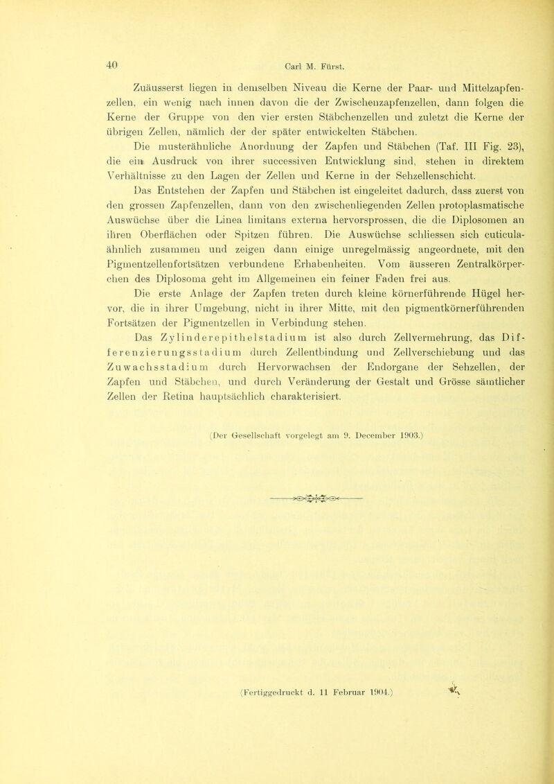 Zuäusserst. liegen in demselben Niveau die Kerne der Paar- und Mittelzapfen- zellen, ein wenig nach innen davon die der Zwischenzapfenzellen, dann folgen die Kerne der Gruppe von den vier ersten Stäbchenzellen und zuletzt die Kerne der übrigen Zellen, nämlich der der später entwickelten Stäbchen. Die musterähnliche Anordnung der Zapfen und Stäbchen (Taf. III Fig. 23), die ein Ausdruck von ihrer successiven Entwicklung sind, stehen in direktem Verhältnisse zu den Lagen der Zellen und Kerne in der Sehzellenschicht. Das Entstehen der Zapfen und Stäbchen ist eingeleitet dadurch, dass zuerst von den grossen Zapfenzellen, dann von den zwischenliegenden Zellen protoplasmatische Auswüchse über die Linea limitans externa hervorsprossen, die die Diplosomen an ihren Oberflächen oder Spitzen führen. Die Auswüchse schliessen sich cuticula- ähnlich zusammen und zeigen dann einige unregelmässig angeordnete, mit den Pigmentzellenfortsätzen verbundene Erhabenheiten. Vom äusseren Zentralkörper- chen des Diplosoma geht im Allgemeinen ein feiner Faden frei aus. Die erste Anlage der Zapfen treten durch kleine körnerführende Hügel her- vor, die in ihrer Umgebung, nicht in ihrer Mitte, mit den pigmentkörnerführenden Fortsätzen der Pigmentzellen in Verbindung stehen. Das Zylinderepithelstadium ist also durch Zellvermehrung, das Dif- ferenzierungsstadium durch Zellentbindung und Zellverschiebung und das Zuwachsstadium durch Hervorwachsen der Endorgane der Sehzellen, der Zapfen und Stäbchen, und durch Veränderung der Gestalt und Grösse sämtlicher Zellen der Retina hauptsächlich charakterisiert. (Der Gesellschaft vorgelegt am 9. December 1903.) < (Fertiggedruckt d. 11 Februar 1904.)