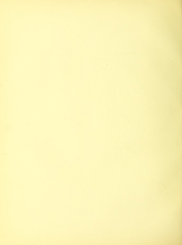 digitised image 2