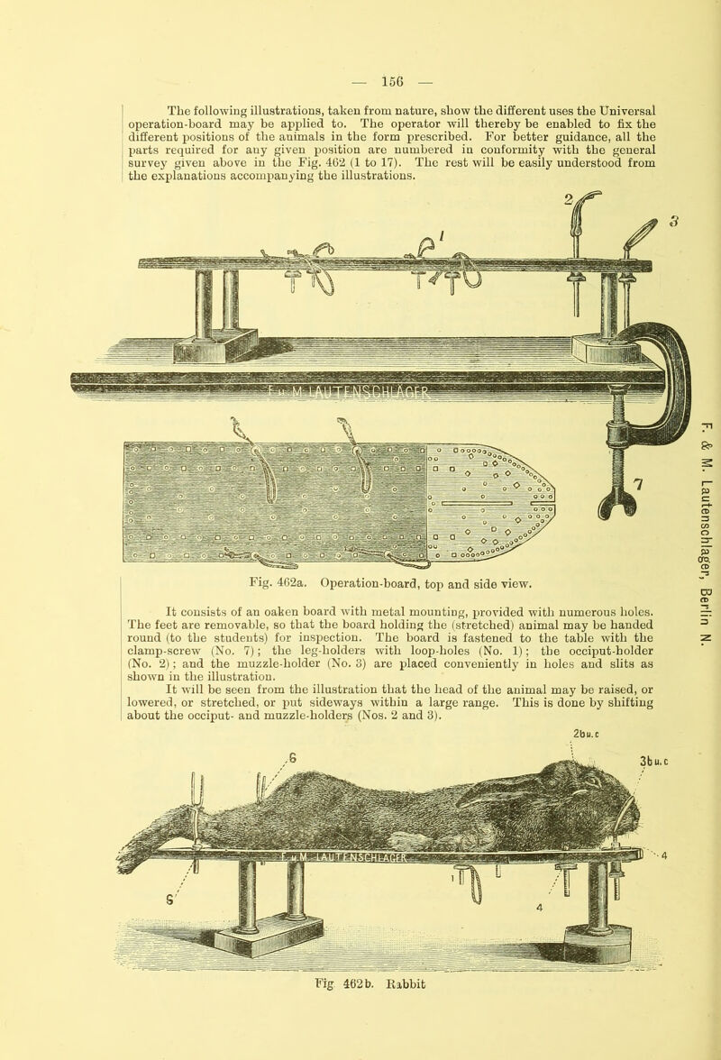 The following illustrations, taken from nature, show the different uses the Universal operation-board may be applied to. The operator will thereby be enabled to fix the different positions of the animals in the form prescribed. For better guidance, all the parts required for any given position are numbered in conformity with the general survey given above in the Fig. 462 (1 to 17). The rest will be easily understood from the explanations accompanying the illustrations. It consists of an oaken board with metal mounting, provided with numerous holes. The feet are removable, so that the board holding the (stretched) animal may be handed round (to the students) for inspection. The board is fastened to the table with the clamp-screw (No. 7); the leg-holders with loop-holes (No. 1); the occiput-holder (No. 2); and the muzzle-holder (No. 3) are placed conveniently in holes and slits as shown in the illustration. It wTill be seen from the illustration that the head of the animal may be raised, or lowered, or stretched, or put sideways within a large range. This is done by shifting about the occiput- and muzzle-holders (Nos. 2 and 3). 2bu.c Fig 462 b. Rabbit