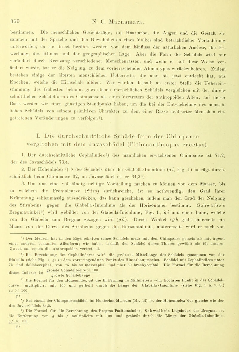 bestimmen. Die menschlichen Gesichtszüge, die Haarfarbe, die Augen und die Gestalt zu- sammen mit der Sprache und den Gewohnheiten eines Volkes sind beträchtlicher Veränderung unterworfen, da sie direct berührt werden von dem Einfluss der natürlichen Auslese, der Er- werbung, des Klimas und der geographischen Lage. Aber die Form des Schädels wird nur verändert durch Kreuzung verschiedener Menschenrassen, und wenn er auf diese Weise ver- ändert würde, hat er die Neigung, zu dem vorherrschenden Ahnentypus zurückzukehren. Zudem bestehen einige der ältesten menschlichen Ueberreste, die man bis jetzt entdeckt hat, aus Knochen, welche die Hirnschale bilden. Wir werden deshalb an erster Stelle die Ueberein- stimmung des frühesten bekannt gewordenen menschlichen Schädels vergleichen mit der durch- schnittlichen Schädelform des Chimpanse als eines Vertreters der anthropoiden Athen: auf dieser Basis werden wir einen günstigen Standpunkt haben, um die bei der Entwickelung des mensch- lichen Schädels von seinem primitiven Charakter zu dem einer Rasse civilisirter Menschen ein- getretenen Veränderungen zu verfolgen * 2 3 4). I. Die durchschnittliche Schädelform des Chimpanse verg'lichen mit dem Javaschädel (Pithecantliropus erectus). 1. Der durchschnittliche Cephalindex2) des männlichen erwachsenen Chimpanse ist 71,2, der des Javaschädels 73,4. 2. Der Höhenindex ::) 0 des Schädels über der Glabella-Inionlinie (gi, Fig. 1) beträgt durch- schnittlich beim Chimpanse 32, im Javaschädel ist er 34,24). 3. Hm uns eine vollständig richtige Vorstellung machen zu können von dem Maasse, bis zu welchem die Frontalcurve (Stirn) zurückweicht, ist es nothwendig, den Grad ihrer Krümmung zahlenmässig auszudrücken, das kann geschehen, indem man den Grad der Neigung des Stirnbeins gegen die Glabella-Inionlinie als der Horizontalen bestimmt. Schwalbe’s Bregmawinkel5) wird gebildet von der Glabella-Inionlinie, Fig. 1, (ji und einer Linie, welche von der Glabella zum Bregma gezogen wird (gb). Dieser Winkel igb giebt einerseits ein Maass von der Curve des Stirnbeins gegen die Horizontallinie, andererseits wird er auch von ') Der Mensch hat in den Eigenschaften seines Schädels mehr mit dem Chimpanse gemein als mit irgend einer anderen bekannten Affenform; wir haben deshalb den Schädel dieses Thieres gewählt als für unseren Zweck am besten die Anthropoiden vertretend. 2) Bei Berechnung des Ceplialindexes wird die grösste Mittellänge des Schädels genommen von der Glabella (siehe Fig. 1, g) zu dem vorspringendsten Punkt des Hinterhauptsbeins. Schädel mit Cephalindices unter 75 sind dolicliocephal, von 75 bis 80 mesoceplial und über 80 bracliyeephal. Die Formel für die Berechnung ,. T , . grösste Schädelbreite X 100 dieses Indexes ist 2 —-—— grösste Schadellange 3) Die Formel für den Höhenindex ist die Entfernung in Millimetern vom höchsten Punkt in der Scliädel- curve, multiplicirt mit 100 und getheilt durch die Länge der Glabella-Inionlinie (siehe Fig. 1 a. v. S.) c 7t X 100 gi 4) Bei einem der Chimpansescliädel im Hunterian-Museum (Nr. 12) ist der Höhenindex der gleiche wie der des Javaschädels 34,2. 5) Die Formel für die Berechnung des Bregma-Positionsindex, Schwalbe’s Lageindex des Bregma, ist die Entfernung von g bis / multiplicirt mit 100 und getheilt durch die Länge der Glabella-Inionlinie> yf X 100 g*