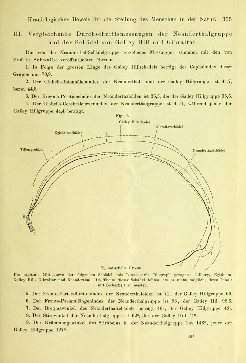 III. Vergleichende Durchschnittsmessungen der Neanderthalgruppe und der Schädel von Galley Hill und Gibraltar. Die von der Neanderthal-Scbädelgruppe gegebenen Messungen stimmen mit den von Prof. G. Schwalbe veröffentlichten überein. 1. In Folge der grossen Länge des Galley Hillschädels beträgt der Cephalindex dieser Gruppe nur 70,9. 2. Der Glabella-Inionhöhenindex der Neanderthal- und der Galley Hillgruppe ist 41,7, bezw. 44,5. 3. Der Bregma-Positionsindex der Neanderthaloiden ist 36,3, der der Galley Hillgruppe 35,6. 4. Der Glabella-Cerebralcurvenindex der Neanderthalgruppe ist 41,6, während jener der Galley Hillgruppe 44,4 beträgt. Fig. 3. Galley Hillschädel Die sagitiale Mittelcurve der folgenden Schädel mit Lissauer’s Diograph gezogen: Tilbury, Egisheim, Galley Hill, Gibraltar und Neanderthal. Da Tlieile dieser Schädel fehlen, ist es nicht möglich, ihren Inhalt mit Sicherheit zu messen. 5. Der Fronto-Parietalbreitenindex der Neanderthaloiden ist 71, der Galley Hillgruppe 69. 6. Der Fronto-Parietallängenindex der Neanderthalgruppe ist 93, der Galley Hill 95,6. 7. Der Breginawinkel des Neanderthalschädels beträgt 46°, der Galley Hillgruppc 49°. 8. Der Stirnwinkel der Neanderthalgruppe ist 62°, der der Galley Hill 74°. 9. Der Krümmungswinkel des Stirnbeins in der Neanderthalgruppe hat 143°, jener der Galley Hillgruppe 127°. 45*