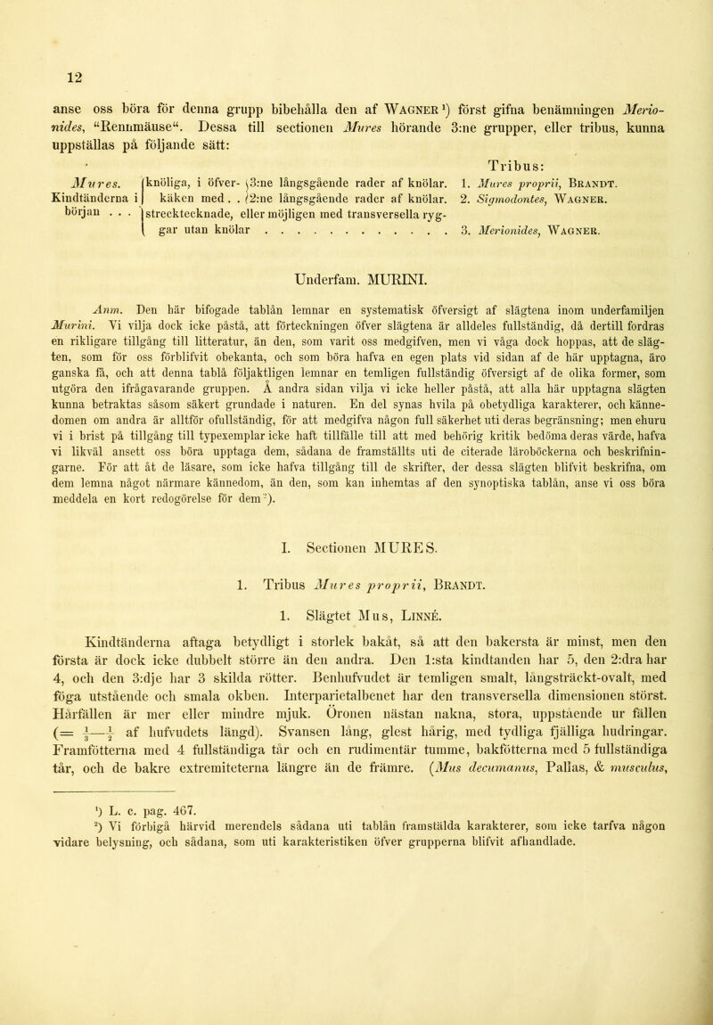 anse oss böra för denna grupp bibehålla den af Wagner x) först gifna benämningen Merio- nides, “Rennmäuse“. Dessa till sectionen Mures hörande 3:ne grupper, eller tribus, kunna uppställas på följande sätt: Ålures. Kindtänderna i början . . . knöliga, i öfver- i3:ne långsgående rader af knölar. käken med . . ^2:ne långsgående rader af knölar, strecktecknade, eller möjligen med transversella ryg- gar utan knölar Tribus: 1. Mures proprii, Brandt. 2. Sigrnodontes, Wagner. 3. Merionides, Wagner. Underfam. MURINI. Anm. Den här bifogade tablån lemnar en systematisk öfversigt af slägtena inom underfamiljen Murini. Yi vilja dock icke påstå, att förteckningen öfver slägtena är alldeles fullständig, då dertill fordras en rikligare tillgång till litteratur, än den, som varit oss medgifven, men vi våga dock hoppas, att de släg- ten, som för oss förblifvit obekanta, och som böra hafva en egen plats vid sidan af de här upptagna, äro ganska tå, och att denna tablå följaktligen lemnar en temligen fullständig öfversigt af de olika former, som utgöra den ifrågavarande gruppen. A andra sidan vilja vi icke heller påstå, att alla här upptagna slägten kunna betraktas såsom säkert grundade i naturen. En del synas hvila på obetydliga karakterer, och känne- domen om andra är alltför ofullständig, för att medgifva någon full säkerhet uti deras begränsning; men ehuru vi i brist på tillgång till typexemplar icke haft tillfälle till att med behörig kritik bedöma deras värde, hafva vi likväl ansett oss böra upptaga dem, sådana de framställts uti de citerade läroböckerna och beskrifnin- garne. För att åt de läsare, som icke hafva tillgång till de skrifter, der dessa slägten blifvit beskrifna, om dem lemna något närmare kännedom, än den, som kan inhemtas af den synoptiska tablån, anse vi oss böra meddela en kort redogörelse för dem'-'). I. Sectionen MURES. 1. Tribus Mures pr o pir ii, BRANDT. 1. Slägtet Mus, Linné. Kindtänderna aftaga betydligt i storlek bakåt, så att den bakersta är minst, men den första är doek icke dubbelt större än den andra. Den l:sta kindtanden bar 5, den 2:dra har 4, och den 3:dje har 3 skilda rötter. Benlmfvudet är temligen smalt, långsträckt-ovalt, med föga utstående och smala okben. Interparietalbenet har den transversella dimensionen störst. Hårfällen är mer eller mindre mjuk. Öronen nästan nakna, stora, uppstående ur fallen (= |\ af hufvudets längd). Svansen lång, glest hårig, med tydliga fjälliga budringar. Framfötterna med 4 fullständiga tår och en rudimentär tumme, bakfötterna med 5 fullständiga tår, och de bakre extremiteterna längre än de främre. [Mus decumanus, Pallas, & museulus, ‘) L. c. pag. 467. 2) Yi förbigå härvid merendels sådana uti tablån framstälda karakterer, som icke tarfva någon vidare belysning, och sådana, som uti karakteristiken öfver grupperna blifvit afhandlade.