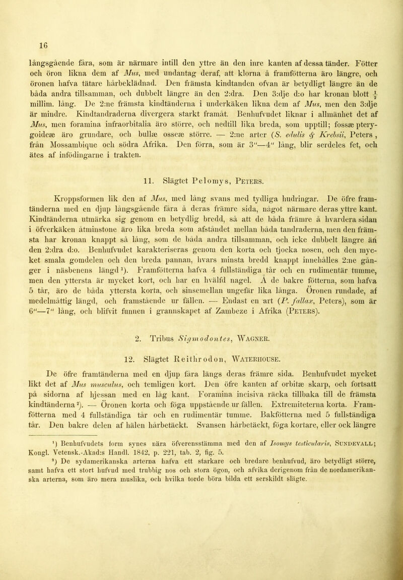 långsgående fåra, som är närmare intill den yttre än den inre kanten af dessa tänder. Fötter ocli öron likna dem af Mus, med undantag deraf, att klorna å framfötterna äro längre, och öronen liafva tätare hårbeklädnad. Den främsta kindtanden ofvan är betydligt längre än de båda andra tillsamman, och dubbelt längre än den 2:dra. Den 3:dje d:o har kronan blott y millim. lång. De 2:ne främsta kindtänderna i underkäken likna dem af Mus, men den 3:dje är mindre. Kindtandraderna divergera starkt framåt. Benlmfvudet liknar i allmänhet det af Mus, men foramina infraorbitalia äro större, och nedtill lika breda, som upptill; fossse ptery- goidese äro grundare, och bullse ossese större. — 2:ne arter (S. erfulis <Sr Krebsii, Peters , från Mossambique och södra Afrika. Den förra, som är 3—4 lång, blir serdeles fet, och ätes af infödingarne i trakten. 11. Slägtet Pel omys, Peters. Kroppsformen lik den af Mus, med lång svans med tydliga lindringar. De öfre frarn- tänderna med en djup långsgående fåra å deras främre sida, något närmare deras yttre kant. Kindtänderna utmärka sig genom en betydlig bredd, så att de båda främre å livardera sidan i öfverkäken åtminstone äro lika breda som afståndet mellan båda tandraderna, men den främ- sta har kronan knappt så lång-, som de båda andra tillsamman, och icke dubbelt längre än den 2:dra d:o. Benlmfvudet karakteriseras genom den korta och tjocka nosen, och den myc- ket smala gomdelen och den breda pannan, hvars minsta bredd knappt innehålles 2:ne gån- ger i näsbenens längd1). Framfötterna liafva 4 fullständiga tår och en rudimentär tumme, men den yttersta är mycket kort, och har en hvälfd nagel. A de bakre fotterna, som liafva 5 tår, äro de båda yttersta korta, och sinsemellan ungefär lika långa. Öronen rundade, af medelmåttig längd, och framstående ur fällen. — Endast en art (P. fallax, Peters), som är 6“—7 lång, och blifvit funnen i grannskapet af Zambeze i Afrika (Peters). 2. Tribus Sigmodontes, WäGNER. 12. Slägtet Reithrodon, Waterijouse. De öfre framtänderna med en djup fåra längs deras främre sida. Benhufvudet mycket likt det af Mus musculus, och temligen kort. Den öfre kanten af orbitse skarp, och fortsatt på sidorna af hjessan med en låg kant. Foramina incisiva räcka tillbaka till de främsta kindtänderna2). -— Öronen korta och föga uppstående ur fällen. Extremiteterna korta. Fram- fötterna med 4 fullständiga tår och en rudimentär tumme. Bakfötterna med 5 fullständiga tår. Den bakre delen af hälen hårbetäckt. Svansen hårbetäckt, föga kortare, eller ock längre ’) Benbufvudets form synes nära öfverensstämma med den af Isomys testicularis, Sundevall; Kongl. Vetensk.-Akadrs Handl. 1842, p. 221, tab. 2, fig. 5. 2) De sydamerikanska arterna kafva ett starkare och bredare benliufvud, äro betydligt större, samt hafva ett stort hufvud med trubbig nos och stora ögon, och afvika derigenom från de nordamerikan- ska arterna, som äro mera muslika, och hvilka torde böra bilda ett serskildt slägte.