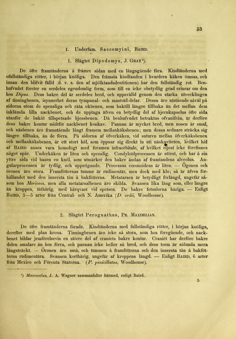 1. Underfam. Saccomyini, Baird. 1. Slägtet Dipodomys, J. Gray1). De öfre framtänderna å främre sidan med en långsgående fåra. Kindtänderna med ofullständiga rötter, i början knöliga. Den främsta kindtanden i hvardera käken ömsas, och innan den blifvit fälld d. v. s. den af mjölktandsdentitionen) liar den fullständig rot. Ben- hufvudet företer en serdeles egendomlig form, som till en icke obetydlig grad erinrar om den hos Dipus. Dess bakre del är serdeles bred, och uppsvälld genom den starka utvecklingen af tinningbenen, isynnerhet deras tympanal- och mastold-delar. Dessa äro utstående såväl på sidorna utom de spensliga och räta okbenen, som baktill längre tillbaka än det mellan dem inklämda lilla nackbenet, och de upptaga äfveu en betydlig del af hjernkapselns öfre sida utanför de bakåt tillspetsade hjessbenen. Då benhufvudet betraktas ofvanifrån, är derföre dess bakre kontur midtför nackbenet konkav. Pannan är mycket bred, men nosen är smal, och näsbenen äro framstående långt framom mellankäksbenen; men dessa sednare sträcka sig längre tillbaka, än de förra. På sidorna af öfverkäken, vid suturen mellan öfverkäksbenen och mellankäksbenen, är ett stort hål, som öppnar sig direkt in uti näskaviteten, hvilket hål af Baird anses vara homologt med foramen infraorbitale, af hvilket et)est icke förefinnes något spår. Underkäken är liten och spenslig. Condyloidprocessen är* störst, och har å sin yttre sida vid basen en knöl, som utmärker den bakre ändan af framtandens alveolus. An- gularprocessen är tydlig, och uppstigande. Processus coronoideus är liten. — Ögonen och öronen äro stora. Framfötternas tumme är rudimentär, men dock med klo; så är äfven för- hållandet med den innersta tån å bakfötterna. Metatarsen är betydligt förlängd, ungefär så- som hos Meriones, men alla metatarsalbenen äro skilda. Svansen lika lång som, eller längre än kroppen, täthårig, med hårqvast vid spetsen. De bakre fotsulorna håriga. — Enligt Baird, 3—5 arter från Central- och N. Amerika (D. ordii, Woodhouse). 2. Slägtet Per ognat hus, Pr. Maximilian. De öfre framtänderna fårade. Kindtänderna med fullständiga rötter, i början knöliga, derefter med plan krona. Tinningbenen äro icke så stora, som hos föregående, och nack- benet bildar jemförelsevis en större del af craniets bakre kontur. Craniet har derföre bakre delen smalare än hos förra, och pannan icke heller så bred, och dess torm är sålunda mera långsträckt. — Öronen äro små, och tummen å framfötterna och den innersta tån å bakföt- terna rudimentära. Svansen korthårig, ungefär af kroppens längd. — Enligt Baird, 6 arter från Mexico och Förenta Staterna. (P. penicillatus, Woodhouse). ') Macrocolus, J. A. Wagner sammanfaller härmed, enligt Baird. 5