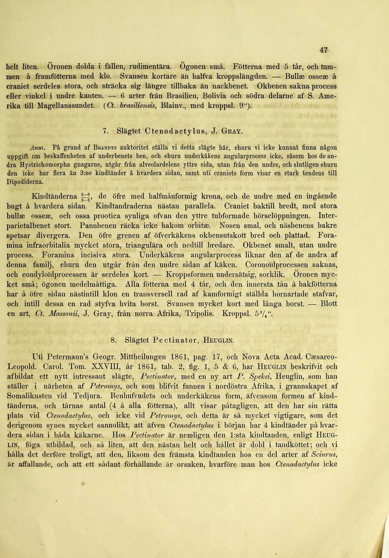 helt liten. Öronen dolda i fällen, rudimentära. Ögonen små. Fotterna med 5 tår, och tum- men å framfötterna med klo. Svansen kortare än halfva kroppslängden. — Bullse ossese å craniet serdeles stora, och sträcka sig längre tillbaka än nackbenet. Okbenen sakna process eller vinkel i undre kanten. — 6 arter från Brasilien, Bolivia och södra delarne af S. Ame- rika till Magellanssundet. (Ct. brasiliensis, Blainv., med kroppsl. 9). 7. Slägtet Ctenodactylus, J. Gray. Anm. På grund af Bkandts auktoritet ställa vi detta slägte här, ehuru vi icke kunnat finna någon uppgift om beskaffenheten af underbenets ben, och ehuru underkäkens angularprocess icke, såsom hos de an- dra Hystrichomorpha gnagarne, utgår från alveolardelens yttre sida, utan från den undre, och slutligen ehuru den icke har flera än 3:ne kindtänder å hvardera sidan, samt uti craniets form visar en stark tendens till Dipodiderna. Kindtänderna |=|, de öfre med halfmånformig krona, och de undre med en ingående bugt å hvardera sidan. Kindtandraderna nästan parallela. Craniet baktill bredt, med stora bullse ossese, och ossa prootica synliga ofvan den yttre tubformade hörselöppningen. Inter- parietalbenet stort. Pannbenen räcka icke bakom orbitse. Nosen smal, och näsbenens bakre spetsar divergera. Den öfre grenen af Öfverkäkens okbensutskott bred och plattad. Fora- mina infraorbitalia mycket stora, triangulära och nedtill bredare. Okbenet smalt, utan undre process. Foramina incisiva stora. Underkäkens angularprocess liknar den af de andra af denna familj, ehuru den utgår från den undre sidan af käken. Coronoidprocessen saknas, och condyloidprocessen är serdeles kort. — Kroppsformen undersätsig, sorklik. Öronen myc- ket små; ögonen medelmåttiga. Alla fotterna med 4 tår, och den innersta tån å bakfötterna har å öfre sidan nästintill klon en transversell rad af kamformigt ställda hornartade stafvar, och intill dessa en rad styfva hvita borst. Svansen mycket kort med långa borst. — Blott en art, Ct. Massonii, J. Gray, från norra Afrika, Tripolis. Kroppsl. 5 3/4 8. Slägtet Pectinator, Heuglin. Uti Petermann’s Geogr. Mittheilungen 1861, pag. 17, och Nova Acta Acad. Csesareo- Leopold. Carol. Tom. XXVIII, år 1861, tab. 2, fig. 1, 5 & 6, har Heuglin beskrifvit och afbildat ett nytt intressant slägte, Pectinator, med en ny art P. Spekei, Heuglin, som han ställer i närheten af Petromys, och som blifvit funnen i nordöstra Afrika, i grannskapet af Somalikusten vid Tedjura. Benliufvudets och underkäkens form, äfvensom formen af kind- tänderna, och tårnas antal (4 å alla fotterna), allt visar påtagligen, att den har sin rätta plats vid Ctenodactylus, och icke vid Petromys, och detta är så mycket vigtigare, som det derigenom synes mycket sannolikt, att äfven Ctenodactylus i början har 4 kindtänder på hvar- dera sidan i båda käkarne. Hos Pectinator är nemligen den l:sta kindtanden, enligt Heug- lin, föga utbildad, och så liten, att den nästan helt och hållet är dold i tandköttet; och vi hålla det derföre troligt, att den, liksom den främsta kindtanden hos en del arter af Sciurus, är affallande, och att ett sådant förhållande är orsaken, hvarföre man hos Ctenodactylus icke