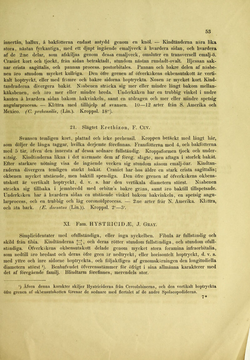 innertån, liallux, å bakfötterna endast antydd genom en knöl. — Kindtänderna nära lika stora, nästan fyrkantiga, med ett djupt ingående emaljveck å livardera sidan, och hvardera af de 2:ne delar, som afskiljas genom dessa emalj veck, omsluter en transversell emalj-ö. Craniet kort och tjockt, från sidan betraktadt, stundom nästan rundadt-ovalt. Hjessan sak- nar crista sagittalis, och pannan process, postorbitales. Pannan och bakre delen af näsbe- nen äro stundom mycket kullriga. Den öfre grenen af öfverkäkens okbensutskott är verti- kalt hoptiyckt, eller med främre och bakre sidorna hoptryckta. Nosen är mycket kort. Kind- tandraderna divergera bakåt. Näsbenen sträcka sig mer eller mindre långt bakom mellau- käksbenen, och äro mer eller mindre breda. Underkäken har en trubbig vinkel i undre kanten å hvardera sidan bakom hakvinkeln, samt en utdragen och mer eller mindre spetsig angularprocess, — Klättra med tillhjelp af svansen. 10—12 arter från S. Amerika och Mexico. (C. prehensilis, (Lin.). Kroppsl. 18). 21. Slägtet Erethizon, F. Cuv. Svansen temligeu kort, plattad och icke prehensil. Kroppen betäckt med långt hår, som döljer de långa taggar, livilka derjemte förefinnas. Framfötterna med 4, och bakfötterna med 5 tår, äfven den innersta af dessa sednare fullständig. Kroppsformen tjock och under- sätsig. Kindtänderna likna i det närmaste dem af föreg. slägte, men aftaga i storlek bakåt. Efter starkare nötning visa de ingående vecken sig stundom såsom emalj-öar. Kindtan- raderna divergera temligeu starkt bakåt. Craniet har hos äldre en stark crista sagittalis; okbenen mycket utstående, men baktill spensliga. Den öfre grenen af öfverkäkens okbens- utskott är vertikalt hoptryckt, d. v. s. har den vertikala diametern störst. Näsbenen sträcka sig tillbaka i jemnbredd med orbitse’s bakre gräns, samt äro baktill tillspetsade. Underkäken har å hvardera sidan en utstående vinkel bakom hakvinkeln, en spetsig angu- larprocess, och en trubbig och låg coronoidprocess. — 2:ue arter frår N. Amerika. Klättra, och äta bark. (E. dorsatus (Lin.)). Kroppsl. 2'—3'. XI. Fam. HYS T El C ID ÄE, J. Gkay. Simplicidentater med ofullständiga, eller inga nyckelben. Fibula är fullständig och skild från tibia. Kindtänderna , och deras rötter stundom fullständiga, och stundom ofull- ständiga. Öfverkäkens okbensutskott delade genom mycket stora foramina infraorbitalia, som nedtill äro bredast och deras öfre gren är nedtryckt, eller horisontelt hoptryckt, d. v. s. med yttre och inre sidorne hoptryckta, och följaktligen af genomskärningen den longitudiella diametern störst l). Benhufvudet öfverensstämmer för öfrigt i sina allmänna karakterer med det af föregående familj. Blindtarm förefinnes, merendels stor. ‘) Äfven denna karakter skiljer Hystrici derna från Cercolabinerna, och den vertikalt hoptryckta öfre grenen af okbensutskotten förenar de sednare med flertalet af de andre Spolacopodiderna. 7 *
