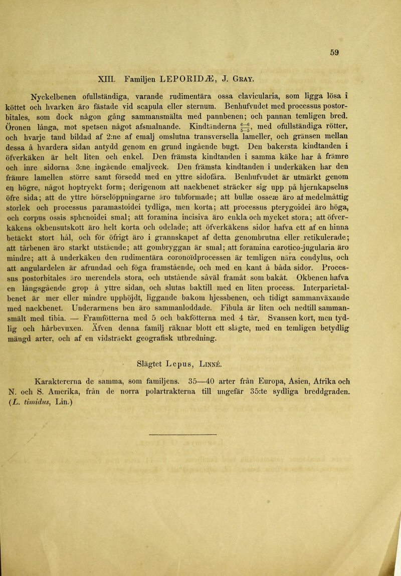 XIII. Familjen LEPORID^, J. Gray. Nyckelbenen ofullständiga, varande rudimentära ossa clavicularia, som ligga lösa i köttet och livarken äro fästade vid scapula eller sternum. Benhufvudet med processus postor- bitales, som dock någon gång sammansmälta med pannbenen; och pannan temligen bred. Öronen långa, mot spetsen något afsmalnande. Kindtänderna |=|, med ofullständiga rötter, och hvarje tand bildad af 2:ne af emalj omslutna transversella lameller, och gränsen mellan dessa å hvardera sidan antydd genom en grand ingående bugt. Den bakersta kindtanden i öfverkäken är helt liten och enkel. Den främsta kindtanden i samma käke har å främre och inre sidorna 3:ne ingående emaljveck. Den främsta kindtanden i underkäken har den främre lamellen större samt försedd med en yttre sidofåra. Benhufvudet är utmärkt genom en högre, något hoptryckt form; derigenom att nackbenet sträcker sig upp på hjernkapselns öfre sida; att de yttre hörselöppningarne äro tubformade; att bullse ossese äro af medelmåttig storlek och processus paramastoidei tydliga, men korta; att processus pterygoidei äro höga, och corpus ossis sphenoidei smal; att foramina incisiva äro enkla och mycket stora; att öfver- käkens okbensutskott äro helt korta och odelade; att öfverkäkens sidor hafva ett af en hinna betäckt stort hål, och för öfrigt äro i grannskapet af detta genombrutna eller retikulerade; att tårbenen äro starkt utstående; att gombryggan är smal; att foramina carotico-jugularia äro mindre; att å underkäken den rudimentära coronoidprocessen är temligen nära condylus, och att angulardelen är afrundad och föga framstående, och med eu kant å båda sidor. Proces- sus postorbitales äro merendels stora, och utstående såväl framåt som bakåt. Okbenen hafva en långsgående grop å yttre sidan, och slutas baktill med en liten process. Interparietal- benet är mer eller mindre upphöjdt, liggande bakom hjessbenen, och tidigt sammanväxande med nackbenet. Underarmens ben äro sammanloddade. Fibula är liten och nedtill samman- smält med tibia. — Framfötterna med 5 och bakfötterna med 4 tår. Svansen kort, men tyd- lig och hårbevuxen. Äfven denna familj räknar blott ett slägte, med en temligen betydlig mängd arter, och af en vidsträckt geografisk utbredning. Slägtet Lepus, Linné. Karaktererna de samma, som familjens. 35—40 arter från Europa, Asien, Afrika och N. och S. Amerika, från de norra polartrakterna till ungefär 35:te sydliga breddgraden. (L. timidus, Lin.)