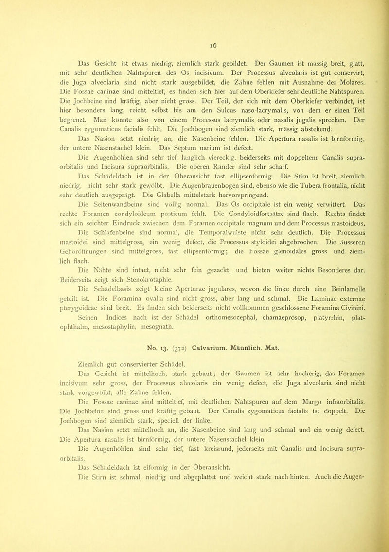Das Gesicht ist etwas niedrig, ziemlich stark gebildet. Der Gaumen ist massig breit, glatt, mit sehr deutlichen Nahtspuren des Os incisivum. Der Processus alveolaris ist gut conservirt, die Juga alveolaria sind nicht stark ausgebildet, die Zähne fehlen mit Ausnahme der Molares. Die Fossae caninae sind mitteltief, es finden sich hier auf dem Oberkiefer sehr deutliche Nahtspuren. Die Jochbeine sind kräftig, aber nicht gross. Der Teil, der sich mit dem Oberkiefer verbindet, ist hier besonders lang, reicht selbst bis am den Sulcus naso-lacrymalis, von dem er einen Teil begrenzt. Man könnte also von einem Processus lacrymalis oder nasalis jugalis sprechen. Der Canalis zygomaticus facialis fehlt. Die Jochbogen sind ziemlich stark, mässig abstehend. Das Nasion setzt niedrig an, die Nasenbeine fehlen. Die Apertura nasalis ist bimförmig, der untere Nasenstachel klein. Das Septum narium ist defect. Die Augenhöhlen sind sehr tief, länglich viereckig, beiderseits mit doppeltem Canalis supra- orbitalis und Incisura supraorbitalis. Die oberen Ränder sind sehr scharf. Das Schädeldach ist in der Oberansicht fast ellipsenförmig. Die Stirn ist breit, ziemlich niedrig, nicht sehr stark gewölbt. Die Augenbrauenbogen sind, ebenso wie die Tubera frontalia, nicht sehr deutlich ausgeprägt. Die Glabella mittelstark hervorspringend. Die Seitenwandbeine sind völlig normal. Das Os occipitale ist ein wenig verwittert. Das rechte Foramen condyloideum posticum fehlt. Die Condyloidfortsätze sind flach. Rechts findet sich ein seichter Eindruck zwischen dem Foramen occipitale magnum und dem Processus mastoideus. Die Schläfenbeine sind normal, die Temporalwülste nicht sehr deutlich. Die Processus mastoidei sind mittelgross, ein wenig defect, die Processus styloidei abgebrochen. Die äusseren Gehöröffnungen sind mittelgross, fast ellipsenförmig; die Fossae glenoidales gross und ziem- lich flach. Die Nähte sind intact, nicht sehr fein gezackt, und bieten weiter nichts Besonderes dar. Beiderseits zeigt sich Stenokrotaphie. Die Schädelbasis zeigt kleine Aperturae jugulares, wovon die linke durch eine Beinlamelle geteilt ist. Die Foramina ovalia sind nicht gross, aber lang und schmal. Die Laminae externae pterygoideae sind breit. Es finden sich beiderseits nicht vollkommen geschlossene Foramina Civinini. Seinen Indices nach ist der Schädel orthomesocephal, chamaeprosop, platyrrhin, plat- ophthalm, mesostaphylin, mesognath. No. 13. (372) Calvarium. Männlich. Mat. Ziemlich gut conservierter Schädel. Das Gesicht ist mittelhoch, stark gebaut; der Gaumen ist sehr höckerig, das Foramen incisivum sehr gross, der Processus alveolaris ein wenig defect, die Juga alveolaria sind nicht stark vorgewölbt, alle Zähne fehlen. Die Fossae caninae sind mitteltief, mit deutlichen Nahtspuren auf dem Margo infraorbitalis. Die Jochbeine sind gross und kräftig gebaut. Der Canalis zygomaticus facialis ist doppelt. Die Jochbogen sind ziemlich stark, speciell der linke. Das Nasion setzt mittelhoch an, die Nasenbeine sind lang und schmal und ein wenig defect. Die Apertura nasalis ist bimförmig, der untere Nasenstachel klein. Die Augenhöhlen sind sehr tief, fast kreisrund, jederseits mit Canalis und Incisura supra- orbitalis. Das Schädeldach ist eiförmig in der Oberansicht. Die Stirn ist schmal, niedrig und abgeplattet und weicht stark nach hinten. Auch die Augen-