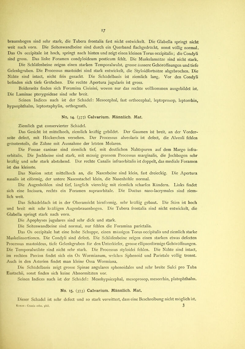 brauenbogen sind sehr stark, die Tubera frontalia fast nicht entwickelt. Die Glabella springt nicht weit nach vorn. Die Seitenwandbeine sind durch ein Querband flachgedrückt, sonst völlig normal. Das Os occipitale ist hoch, springt nach hinten und zeigt einen kleinen Torus occipitalis; die Condyli sind gross. Das linke Foramen condyloideum posticum fehlt. Die Muskelansätze sind nicht stark. Die Schläfenbeine zeigen einen starken Temporalwulst, grosse äussere Gehöröffnungen und tiefe Gelenkgruben. Die Processus mastoidei sind stark entwickelt, die Styloidfortsätze abgebrochen. Die Nähte sind intact, nicht fein gezackt. Die Schädelbasis ist ziemlich lang. Vor den Condyli befinden sich tiefe Grübchen. Die rechte Apertura jugularis ist gross. Beiderseits finden sich Foramina Civinini, wovon nur das rechte vollkommen ausgebildet ist. Die Laminae pterygoideae sind sehr breit. Seinen Indices nach ist der Schädel: Mesocephal, fast orthocephal, leptoprosop, leptorrhin, hypsophthalm, leptostaphylin, orthognath. No. 14. (377) Calvarium. Männlich. Mat. Ziemlich gut conservierter Schädel. Das Gesicht ist mittelhoch, ziemlich kräftig gebildet. Der Gaumen ist breit, an der Vorder- seite defect, mit Höckerchen versehen. Der Processus alveolaris ist defect, die Alveoli fehlen grösstenteils, die Zähne mit Ausnahme der letzten Molaren. Die Fossae caninae sind ziemlich tief, mit deutlichen Nahtspuren auf dem Margo infra- orbitalis. Die Jochbeine sind stark, mit mässig grossem Processus marginalis, die Jochbogen sehr kräftig und sehr stark abstehend. Der rechte Canalis infraorbitalis ist doppelt, das mediale Foramen ist das kleinste. Das Nasion setzt mittelhoch an, die Nasenbeine sind klein, fast dreieckig. Die Apertura nasalis ist eiförmig, der untere Nasenstachel klein, die Nasenhöhle normal. Die Augenhöhlen sind tief, länglich viereckig mit ziemlich scharfen Rändern. Links findet sich eine Incisura, rechts ein Foramen supraorbitale. Die Ductus naso-lacrymales sind ziem- lich weit. Das Schädeldach ist in der Oberansicht bimförmig, sehr kräftig gebaut. Die Stirn ist hoch und breit mit sehr kräftigen Augenbrauenbogen. Die Tubera frontalia sind nicht entwickelt, die Glabella springt stark nach vorn. Die Apophyses jugulares sind sehr dick und stark. Die Seitenwandbeine sind normal, nur fehlen die Foramina parietalia. Das Os occipitale hat eine hohe Schuppe, einen massigen Torus occipitalis und ziemlich starke Muskelinsertionen. Die Condyli sind defect. Die Schläfenbeine zeigen einen starken etwas defecten Processus mastoideus, tiefe Gelenkgruben für den Unterkiefer, grosse ellipsenförmige Gehöröffnungen. Die Temporalwülste sind nicht sehr stark. Die Processus styloidei fehlen. Die Nähte sind intact, im rechten Pterion findet sich ein Os Wormianum, welches Sphenoid und Parietale völlig trennt. Auch in den Asterien findet man kleine Ossa Wormiana. Die Schädelbasis zeigt grosse Spinae angulares sphenoidales und sehr breite Sulci pro Tuba Eustachii, sonst finden sich keine Abnormitäten vor. Seinen Indices nach ist der Schädel: Mesohypsicephal, mesoprosop, mesorrhin, platophthalm. No. 15. (373) Calvarium. Männlich. Mat. Dieser Schädel ist sehr defect und so stark verwittert, dass eine Beschreibung nicht möglich ist. 3 Koeze : Crania ethn. phil.