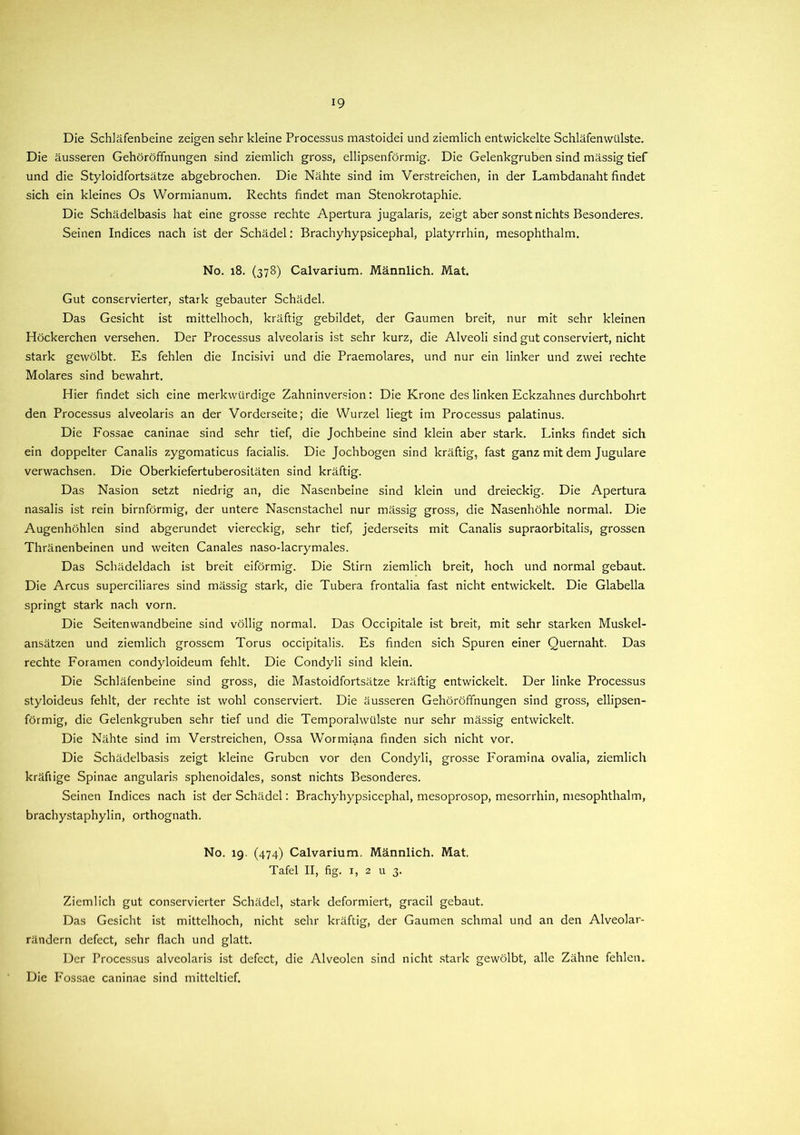Die Schläfenbeine zeigen sehr kleine Processus mastoidei und ziemlich entwickelte Schläfenwülste. Die äusseren Gehöröffnungen sind ziemlich gross, ellipsenförmig. Die Gelenkgruben sind mässig tief und die Styloidfortsätze abgebrochen. Die Nähte sind im Verstreichen, in der Lambdanaht findet sich ein kleines Os Wormianum. Rechts findet man Stenokrotaphie. Die Schädelbasis hat eine grosse rechte Apertura jugalaris, zeigt aber sonst nichts Besonderes. Seinen Indices nach ist der Schädel: Brachyhypsicephal, platyrrhin, mesophthalm. No. 18. (378) Calvarium. Männlich. Mat. Gut conservierter, stark gebauter Schädel. Das Gesicht ist mittelhoch, kräftig gebildet, der Gaumen breit, nur mit sehr kleinen Höckerchen versehen. Der Processus alveolaris ist sehr kurz, die Alveoli sind gut conserviert, nicht stark gewölbt. Es fehlen die Incisivi und die Praemolares, und nur ein linker und zwei rechte Molares sind bewahrt. Hier findet sich eine merkwürdige Zahninversion: Die Krone des linken Eckzahnes durchbohrt den Processus alveolaris an der Vorderseite; die Wurzel liegt im Processus palatinus. Die Fossae caninae sind sehr tief, die Jochbeine sind klein aber stark. Links findet sich ein doppelter Canalis zygomaticus facialis. Die Jochbogen sind kräftig, fast ganz mit dem Jugulare verwachsen. Die Oberkiefertuberositäten sind kräftig. Das Nasion setzt niedrig an, die Nasenbeine sind klein und dreieckig. Die Apertura nasalis ist rein bimförmig, der untere Nasenstachel nur mässig gross, die Nasenhöhle normal. Die Augenhöhlen sind abgerundet viereckig, sehr tief, jederseits mit Canalis supraorbitalis, grossen Thränenbeinen und weiten Canales naso-lacrymales. Das Schädeldach ist breit eiförmig. Die Stirn ziemlich breit, hoch und normal gebaut. Die Arcus superciliares sind mässig stark, die Tubera frontalia fast nicht entwickelt. Die Glabella springt stark nach vorn. Die Seitenwandbeine sind völlig normal. Das Occipitale ist breit, mit sehr starken Muskel- ansätzen und ziemlich grossem Torus occipitalis. Es finden sich Spuren einer Quernaht. Das rechte Foramen condyloideum fehlt. Die Condyli sind klein. Die Schläfenbeine sind gross, die Mastoidfortsätze kräftig entwickelt. Der linke Processus styloideus fehlt, der rechte ist wohl conserviert. Die äusseren Gehöröffnungen sind gross, ellipsen- förmig, die Gelenkgruben sehr tief und die Temporalwülste nur sehr mässig entwickelt. Die Nähte sind im Verstreichen, Ossa Wormiana finden sich nicht vor. Die Schädelbasis zeigt kleine Gruben vor den Condyli, grosse Foramina ovalia, ziemlich kräftige Spinae angularis sphenoidales, sonst nichts Besonderes. Seinen Indices nach ist der Schädel: Brachyhypsicephal, mesoprosop, mesorrhin, mesophthalm, brachystaphylin, orthognath. No. 19. (474) Calvarium. Männlich. Mat. Tafel II, fig. 1, 2 u 3. Ziemlich gut conservierter Schädel, stark deformiert, gracil gebaut. Das Gesicht ist mittelhoch, nicht sehr kräftig, der Gaumen schmal und an den Alveolar- rändern defect, sehr flach und glatt. Der Processus alveolaris ist defect, die Alveolen sind nicht stark gewölbt, alle Zähne fehlen. Die Fossae caninae sind mitteltief.