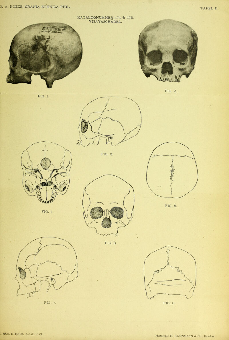 TAFEL II. KATALOGNUMMER 474 & 476. FIG 2. FIG. 5. :. MUS. E'l'HNOL. EU.iU. BAT.